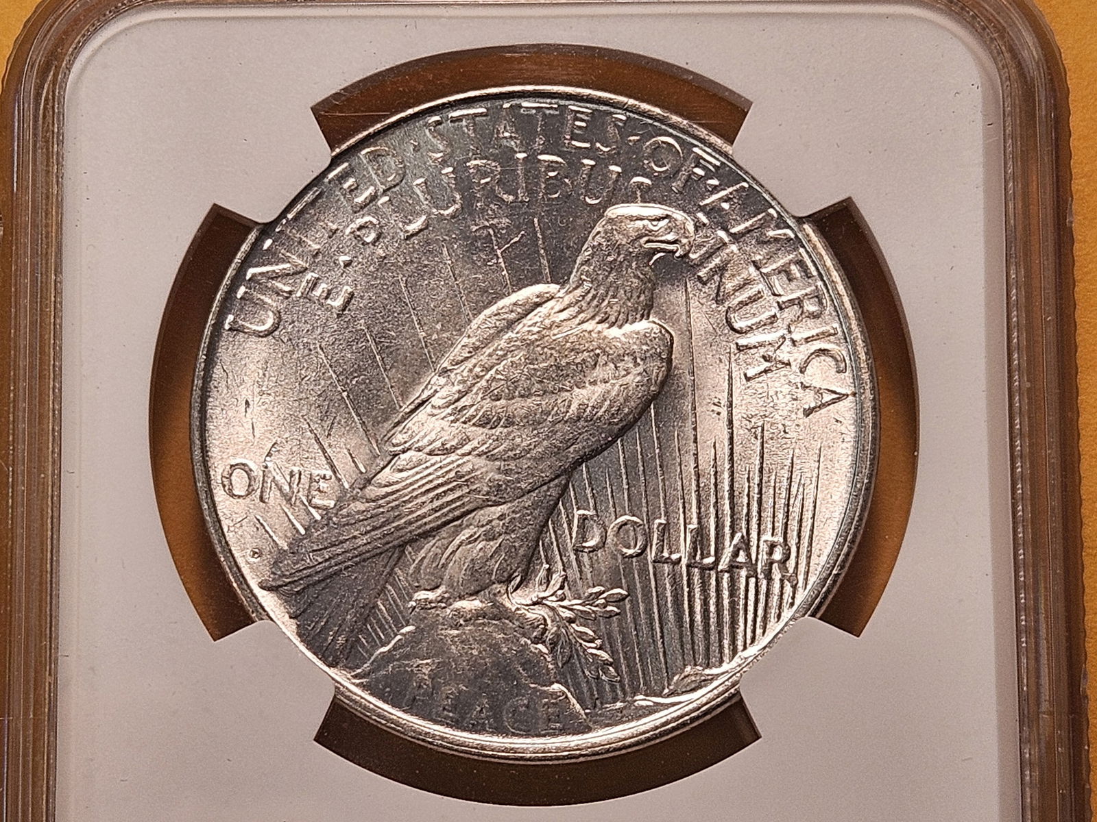 NGC 1922-D Peace Silver Dollar in Mint State 61 - 4