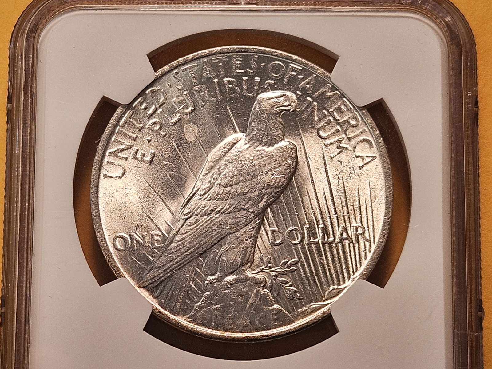 NGC 1923 Peace Silver Dollar in Mint State 62 - 4