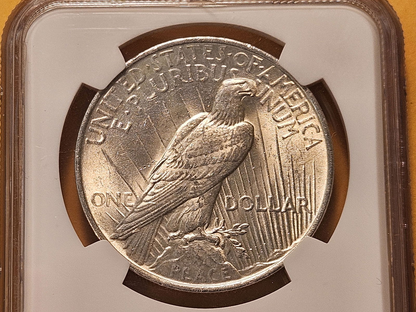 NGC 1922 Peace Silver Dollar in Mint State 62 - 4