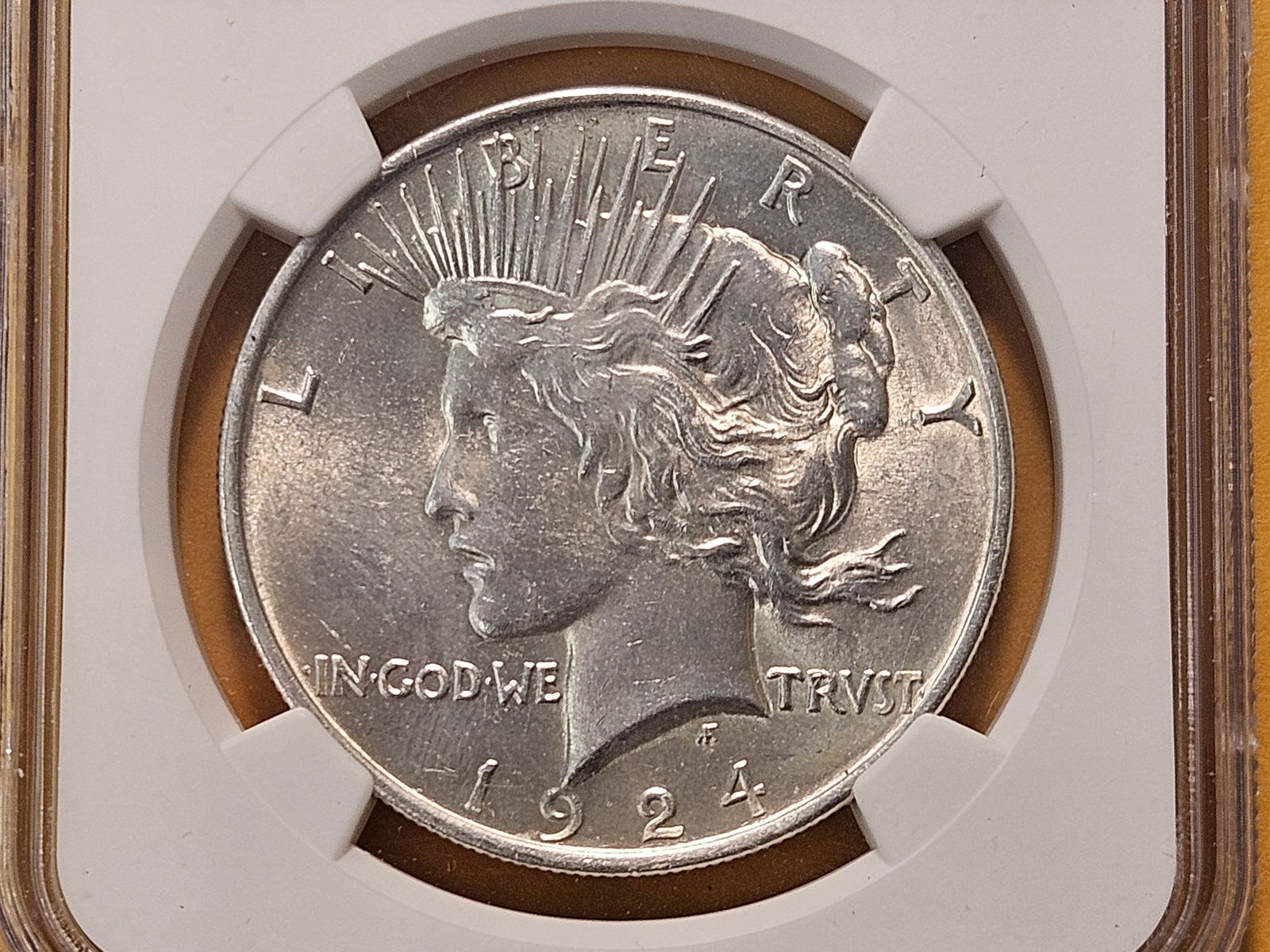 NGC 1924 Peace Silver Dollar in Mint State 62: Gemmy!