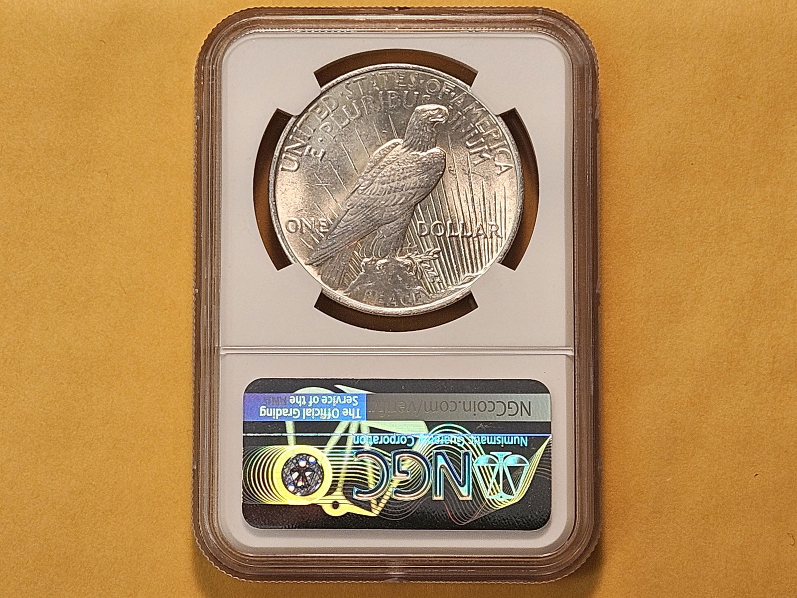 NGC 1924 Peace Silver Dollar in Mint State 62 - 3