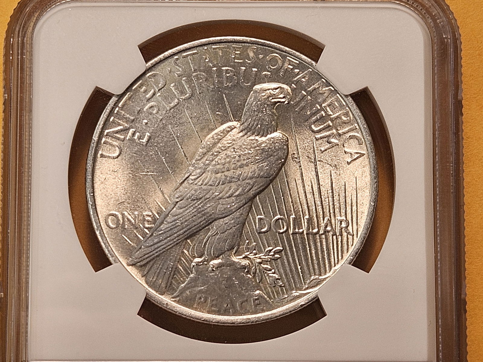 NGC 1924 Peace Silver Dollar in Mint State 62 - 4