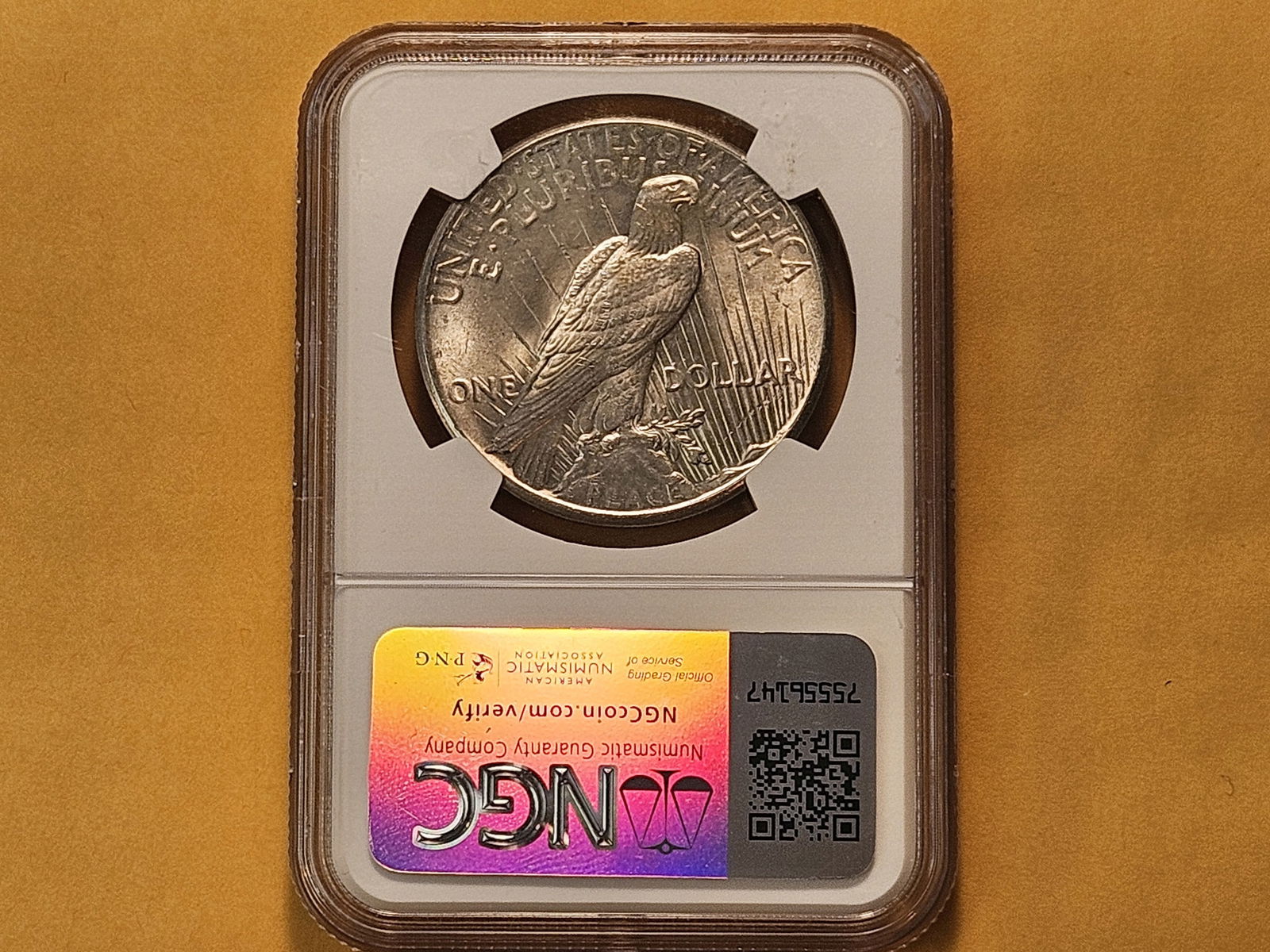 NGC 1925 Peace Silver Dollar in Mint State 62 - 3