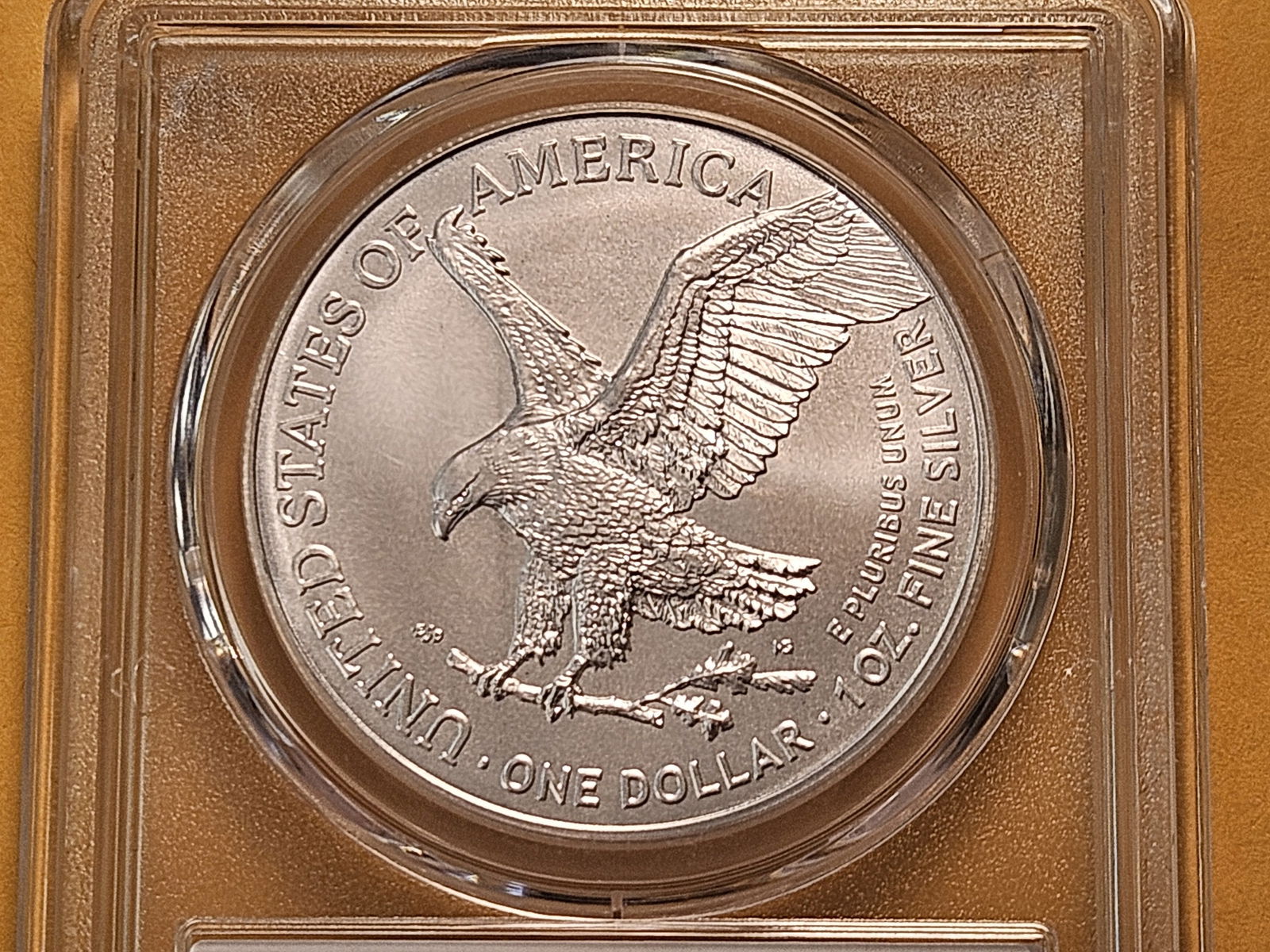 PCGS 2025 American Silver Eagle in GEM Brilliant Uncirculated - 4