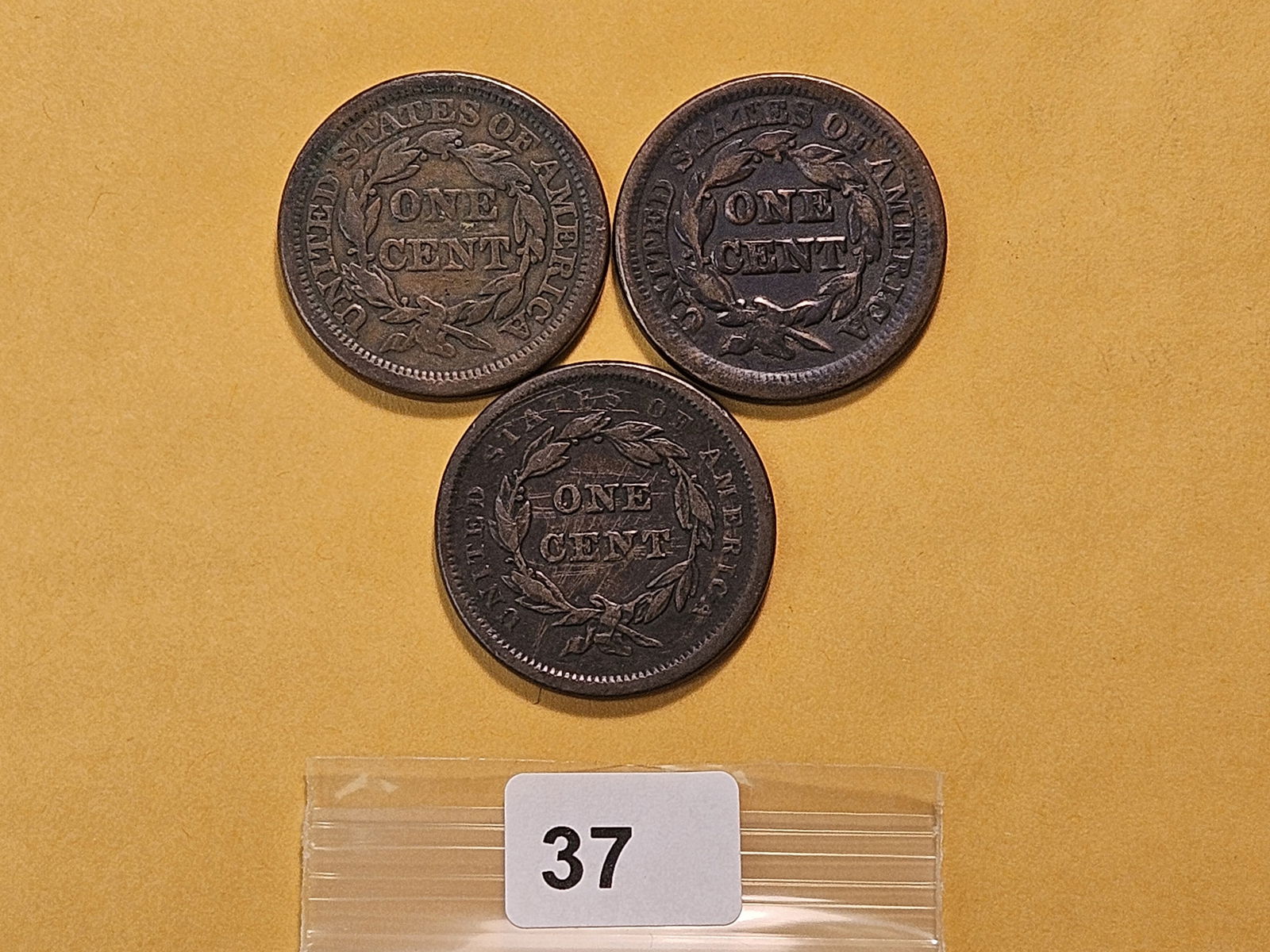 Three Circulated Braided Hair Large Cents - 3