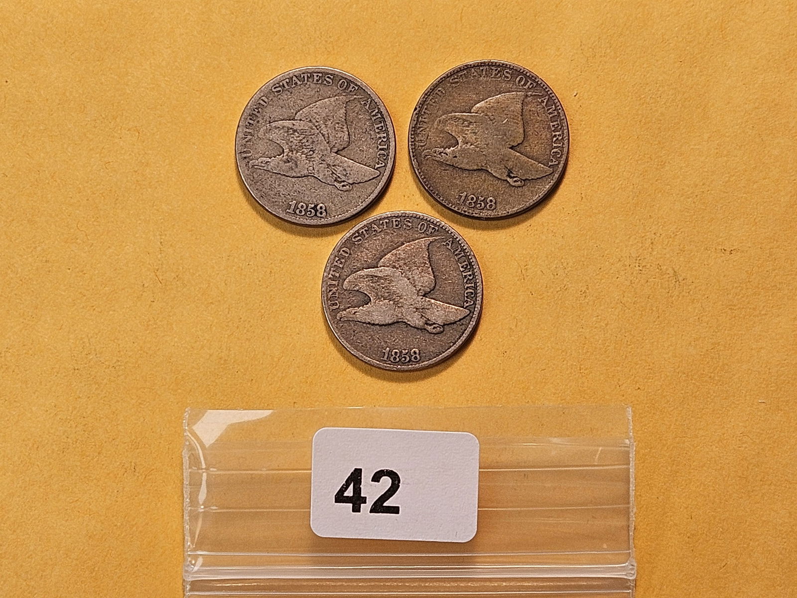 Three 1858 Flying Eagle Cents: Circulated 