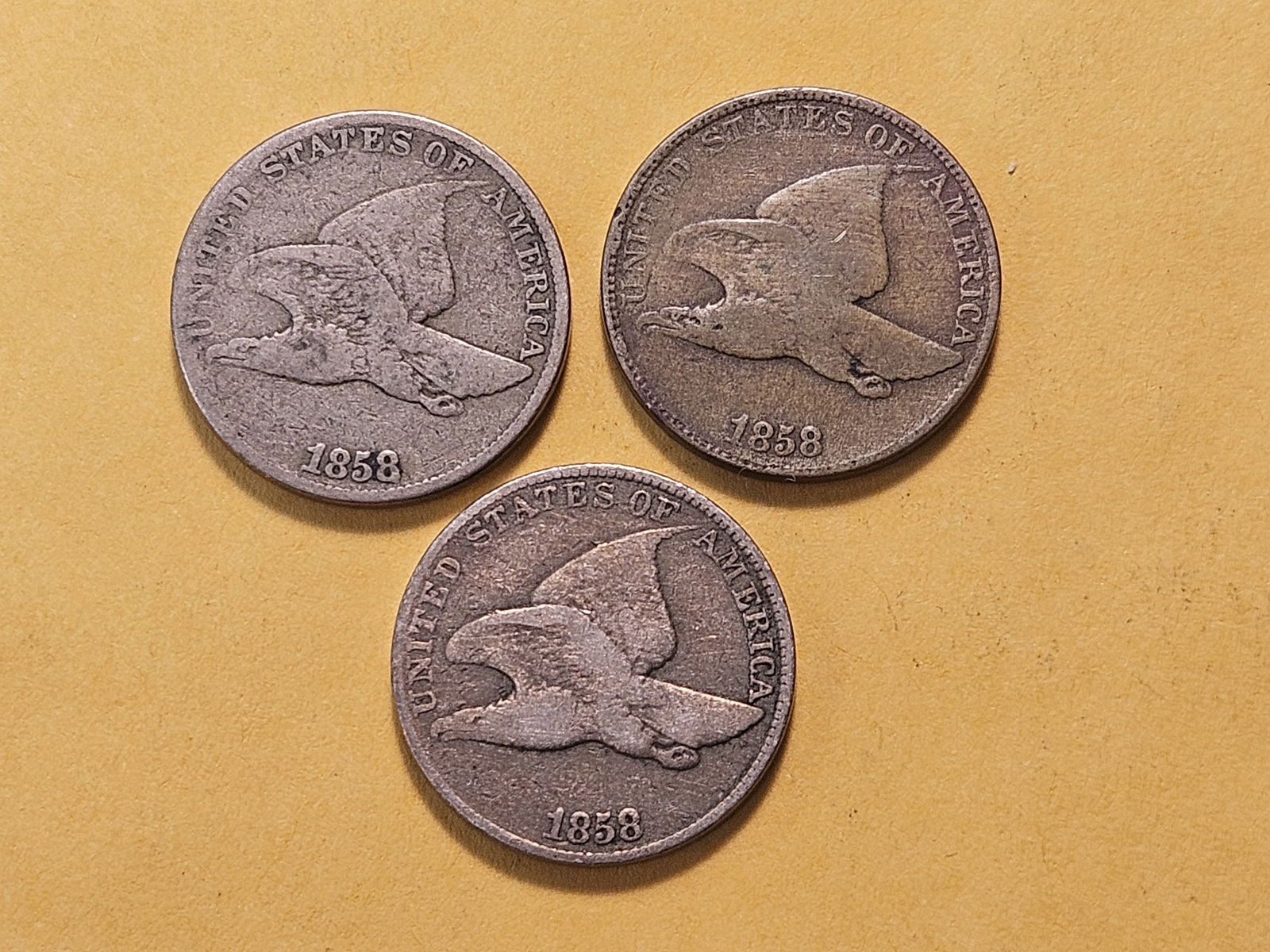 Three 1858 Flying Eagle Cents - 2