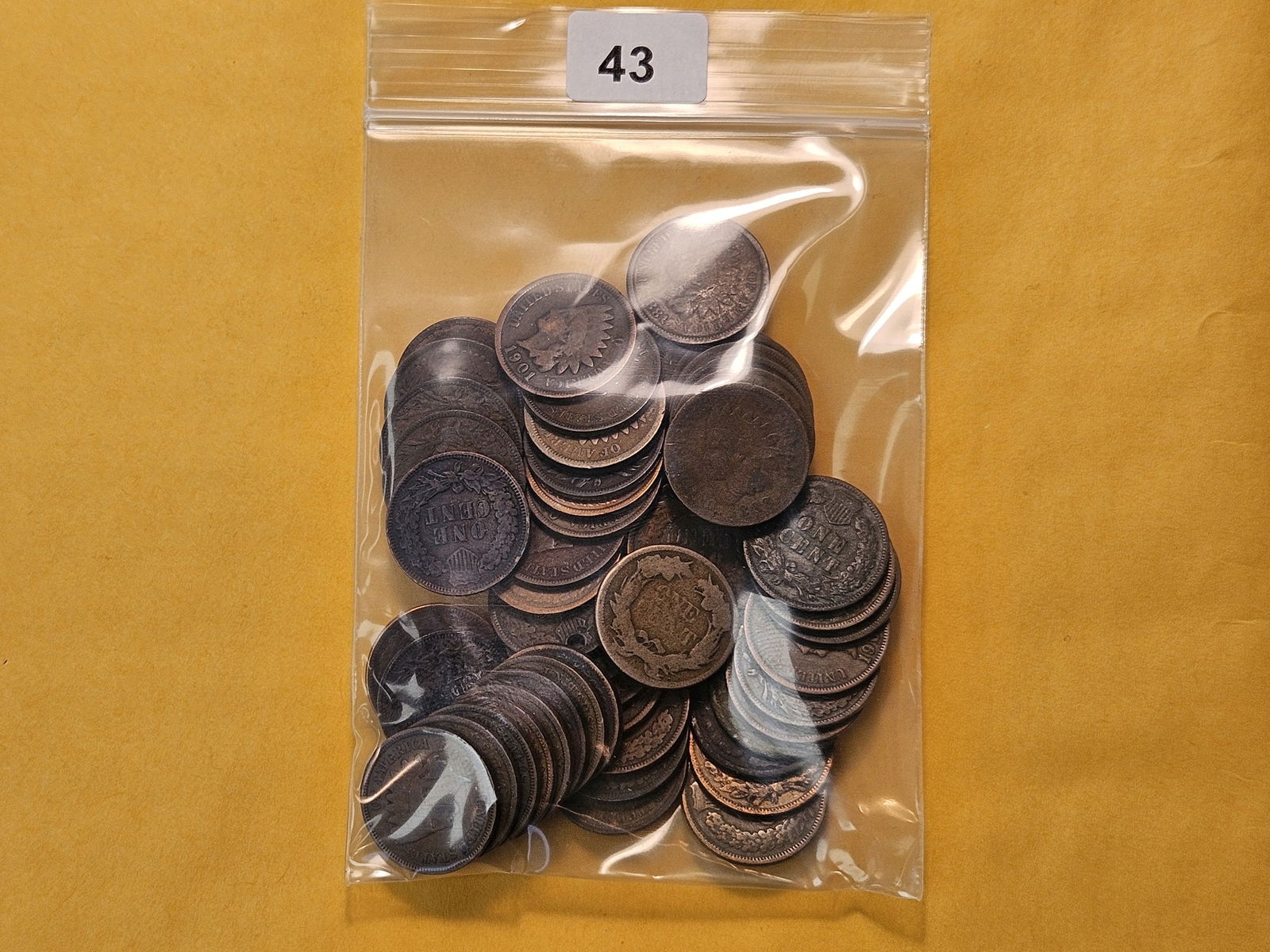 Fifty Circulated Indian Head Cents: Mixed dates and grades 