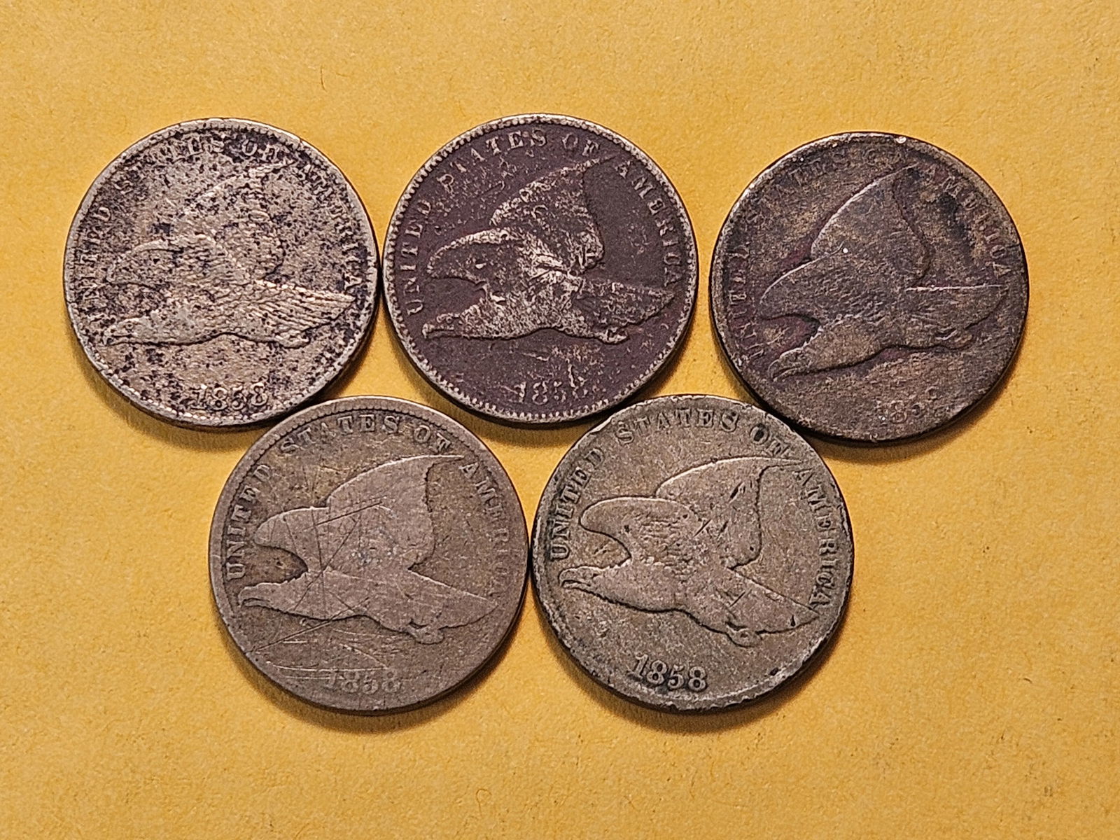 Five 1858 Flying Eagle Cents - 2