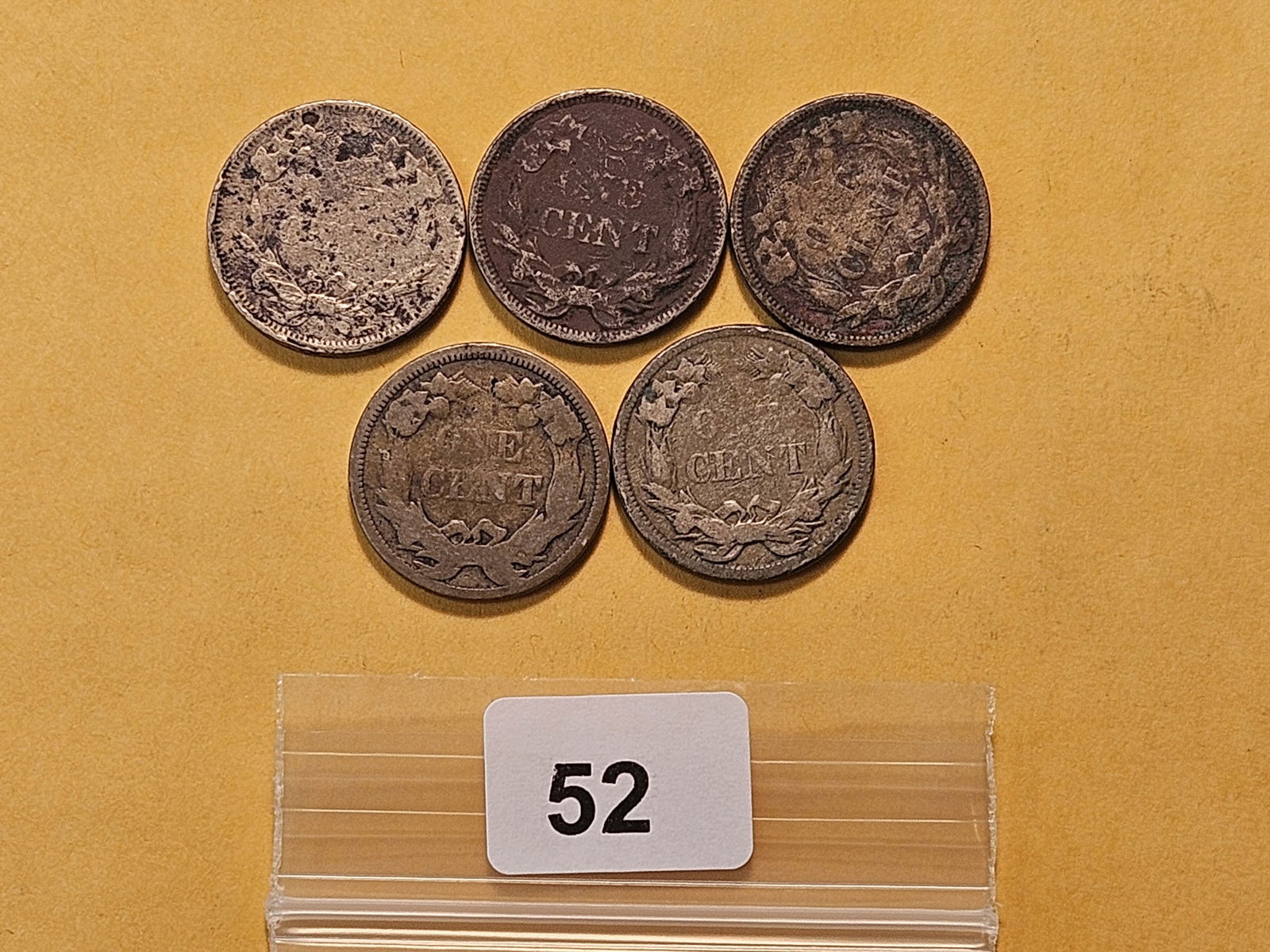 Five 1858 Flying Eagle Cents - 3
