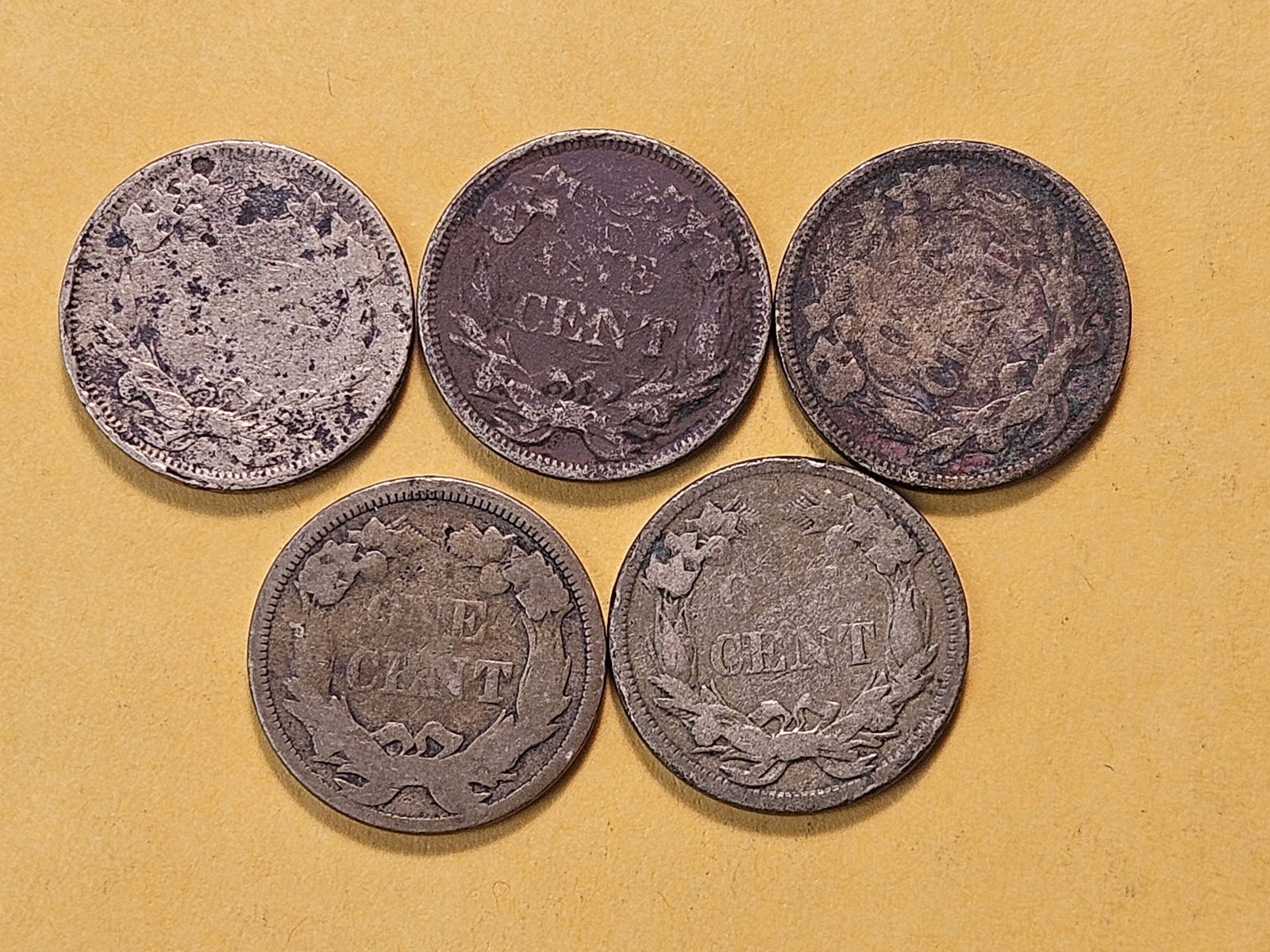 Five 1858 Flying Eagle Cents - 4