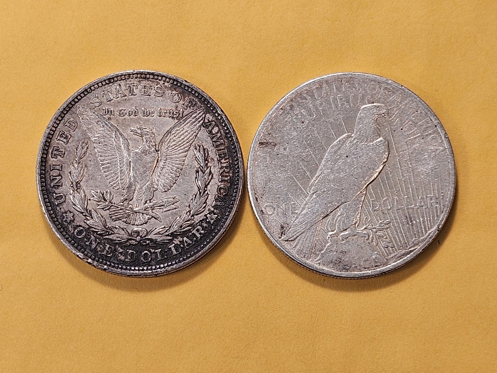 1921 Morgan and 1924 Peace Silver Dollars - 4