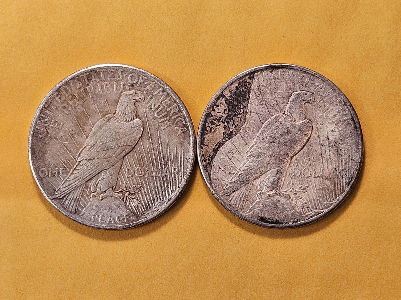 Two Peace Silver Dollars - 4
