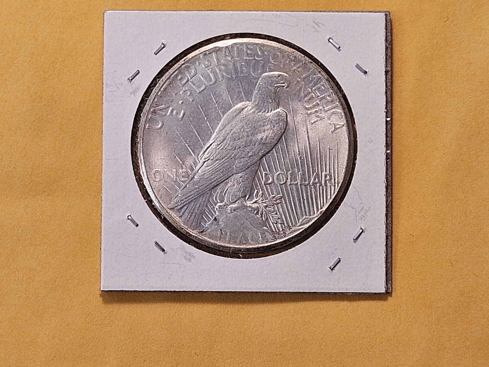 Better Grade 1926 Peace Silver Dollar - 3