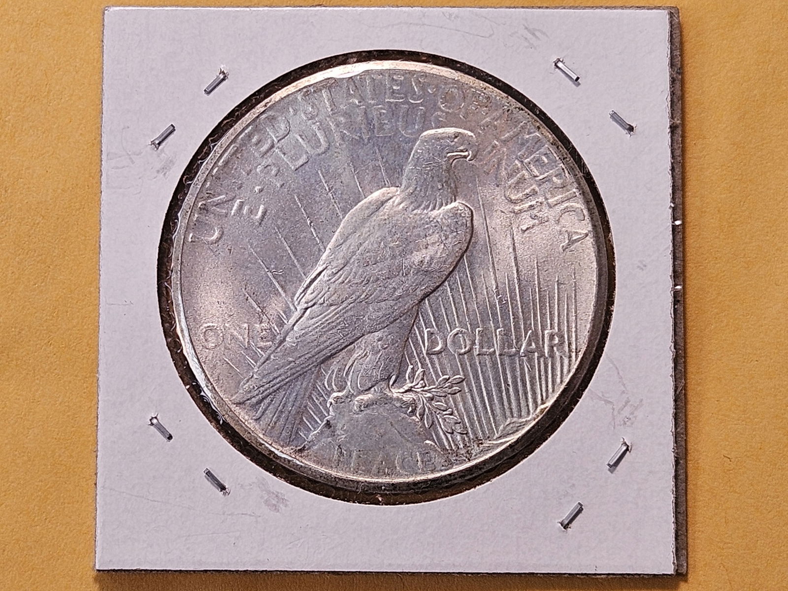 Better Grade 1926 Peace Silver Dollar - 4