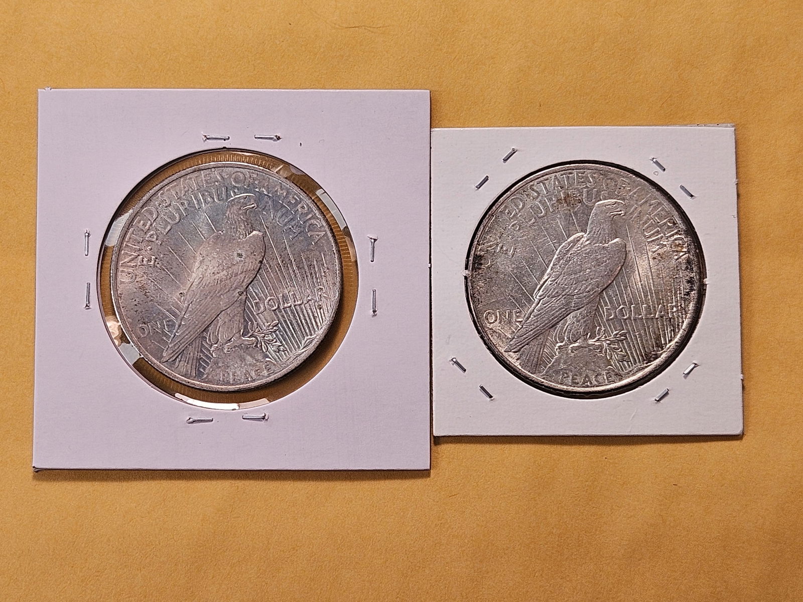 1922 and 1924 Peace Silver Dollars - 4