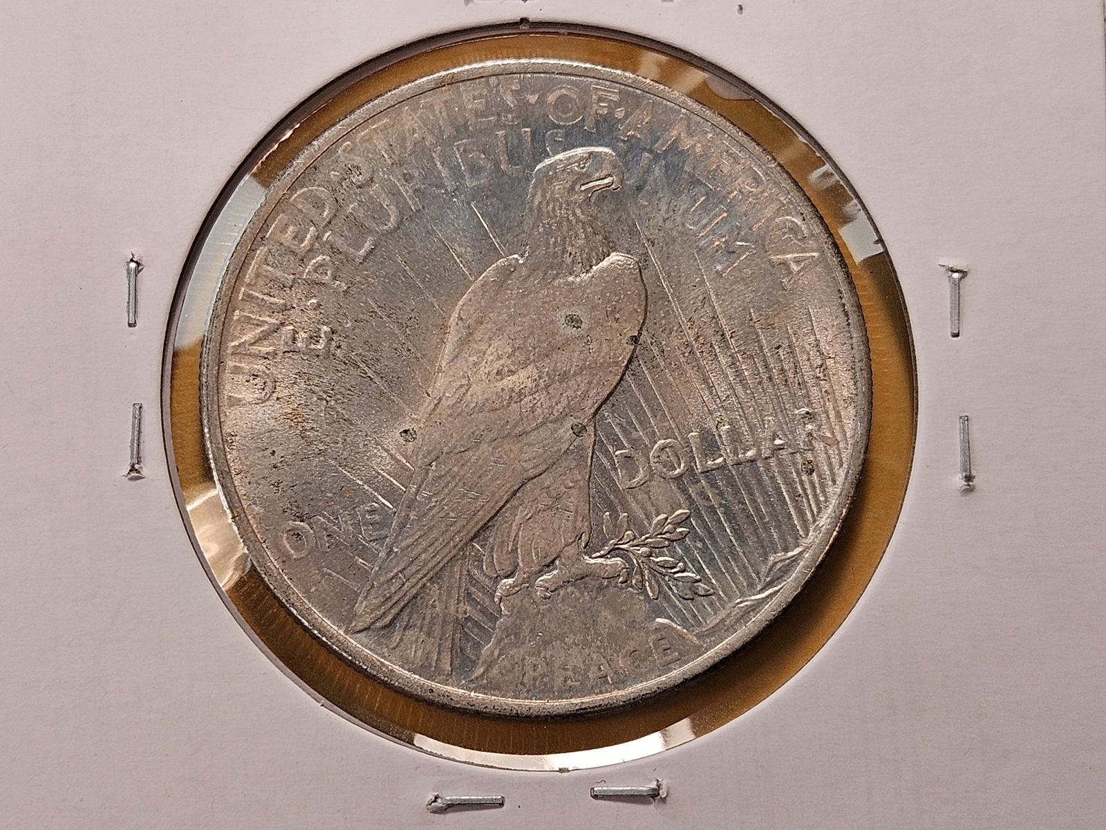 1922 and 1924 Peace Silver Dollars - 5