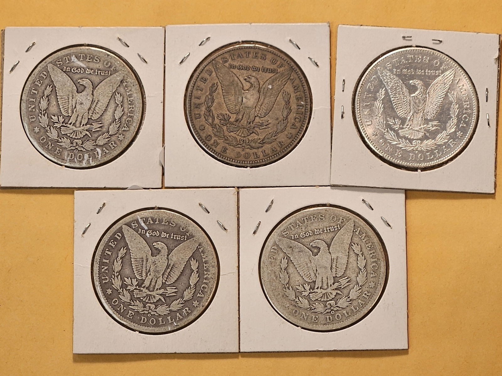 Five Circulated Morgan Silver Dollars - 7