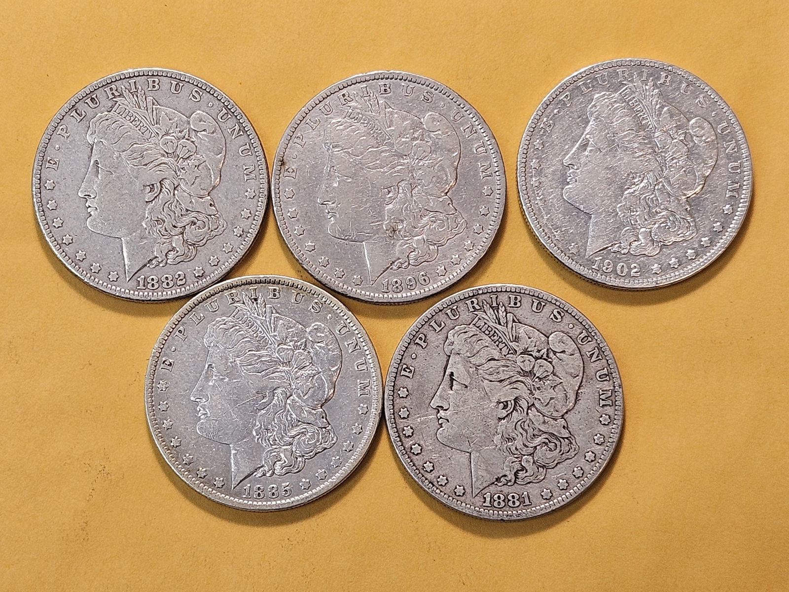 Five Circulated Morgan Silver Dollars - 2