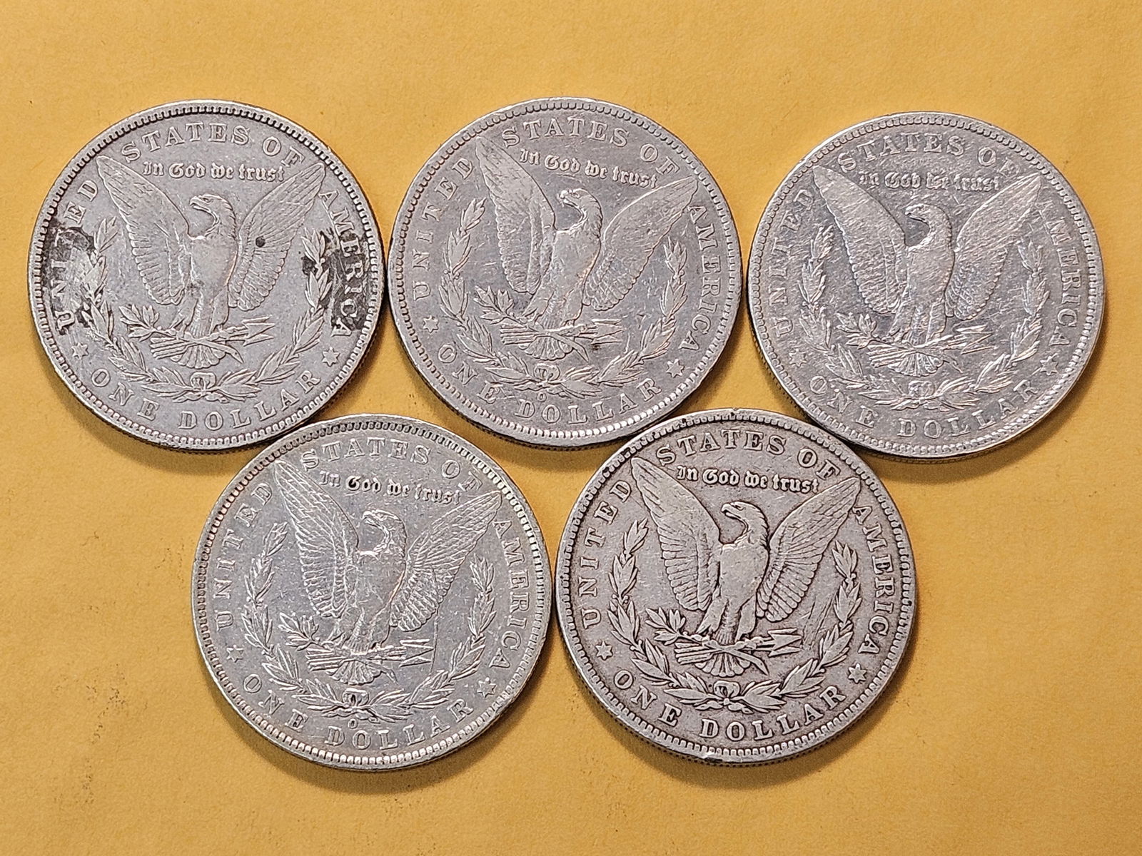 Five Circulated Morgan Silver Dollars - 4