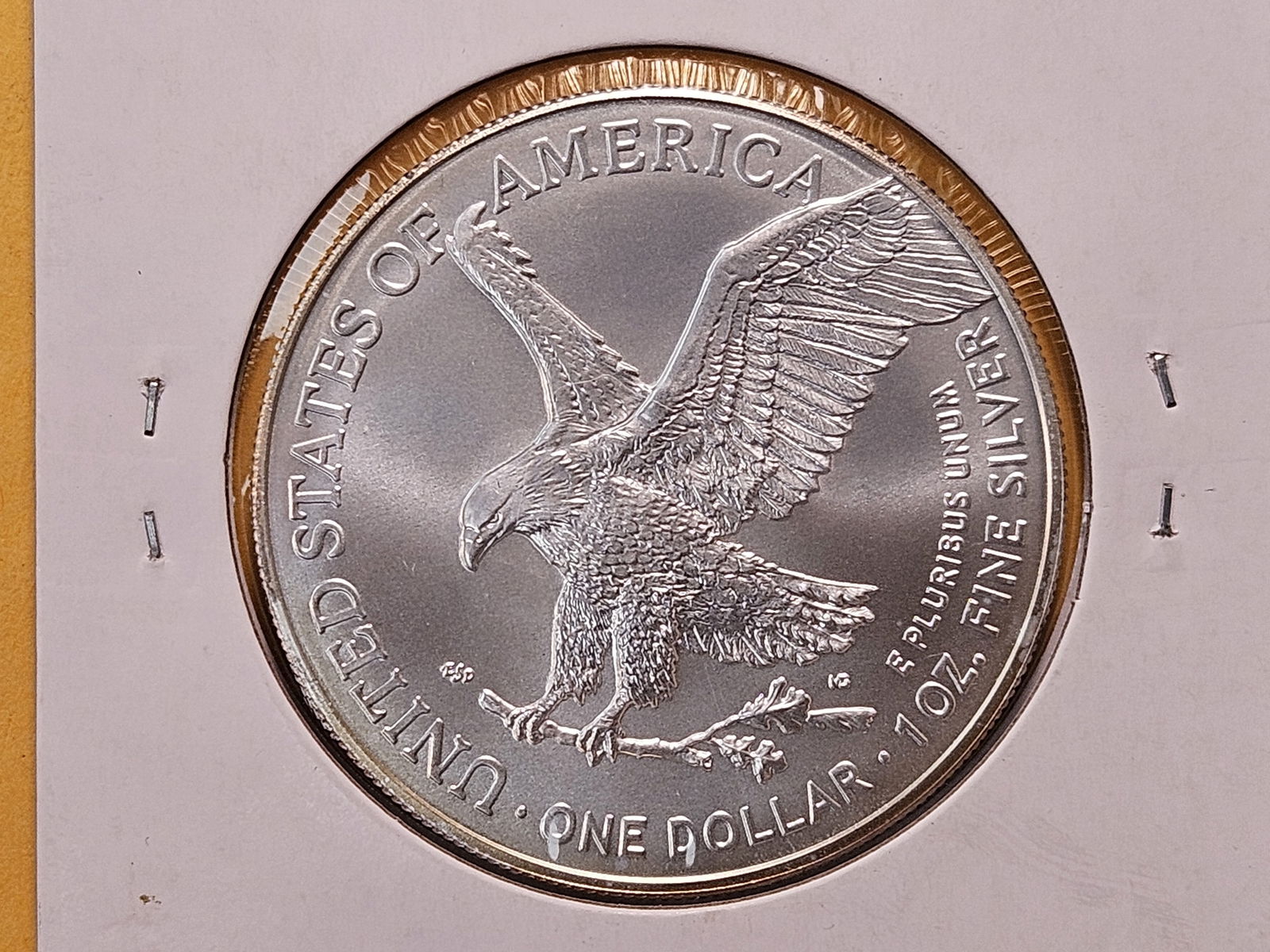 And last but not least, a GEM Brilliant Uncirculated 2025 American Silver Eagle - 4
