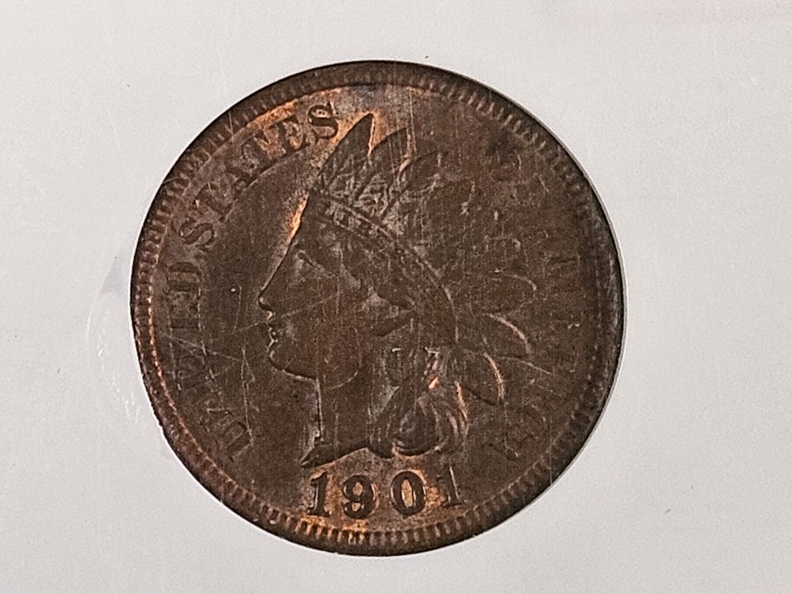 * GEM * NGC 1901 Indian Cent in Mint State 65 Brown: Tinges of original red luster. Plus, the 9 is lightly repunched 