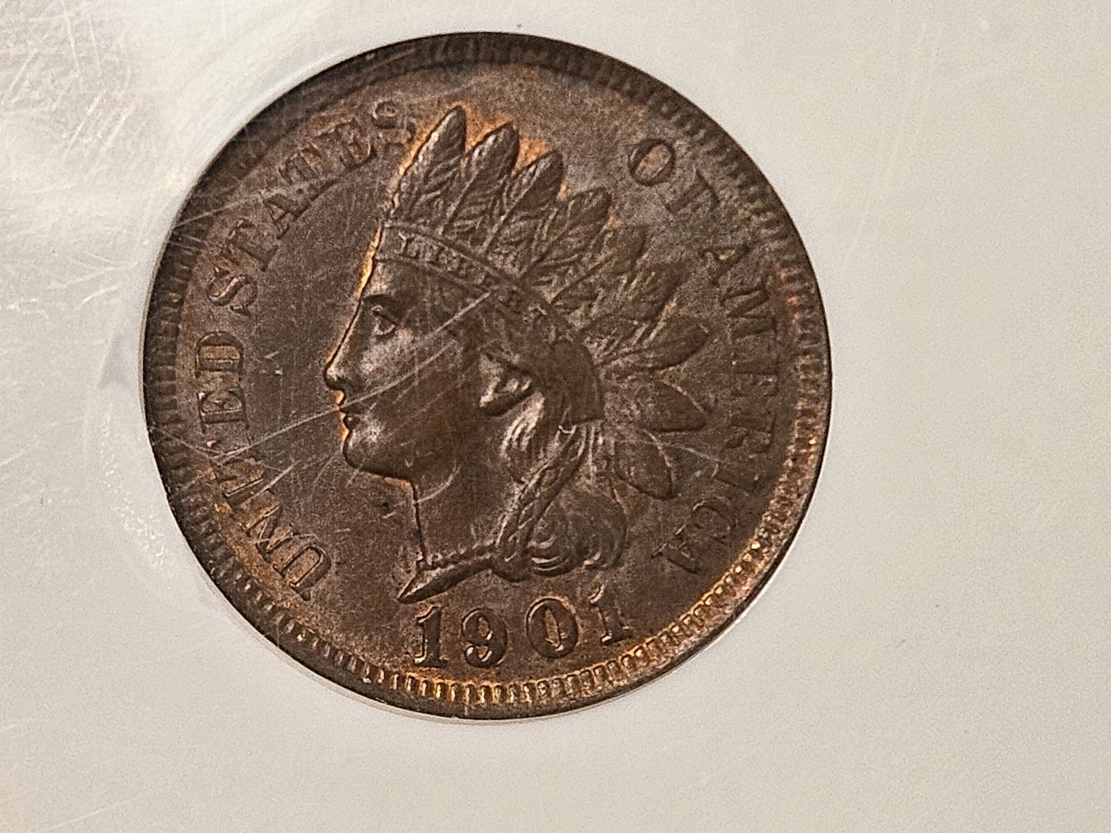 * GEM * NGC 1901 Indian Cent in Mint State 65 Brown - 4