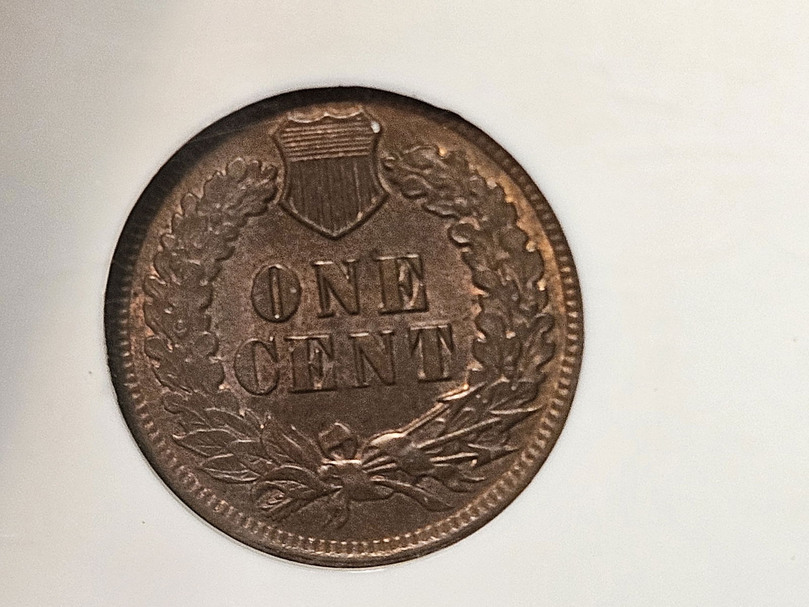 * GEM * NGC 1901 Indian Cent in Mint State 65 Brown - 8