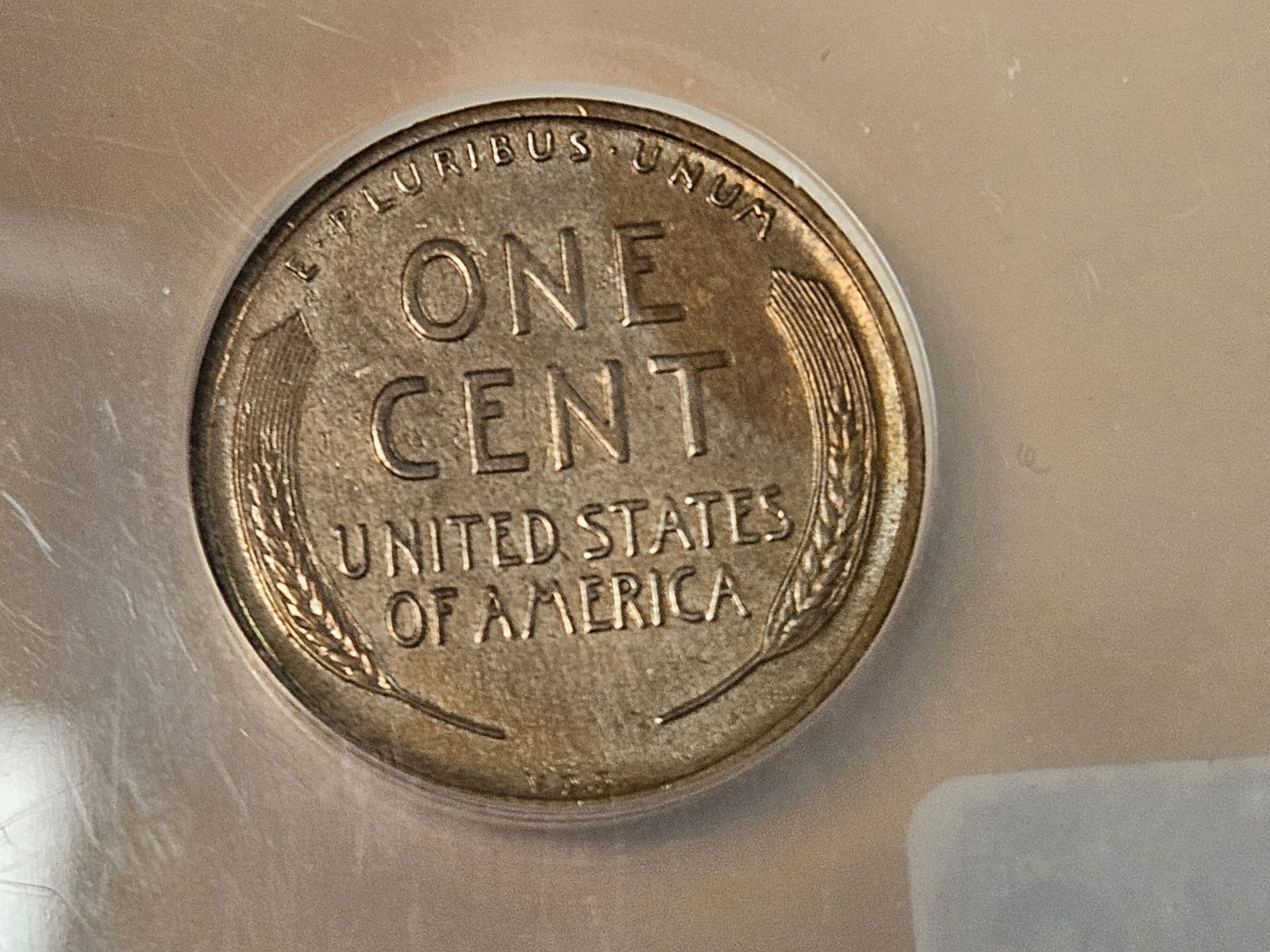 ** KEY DATE ** NGC 1909-S VDB Wheat Cent in Very Fine - details - 8