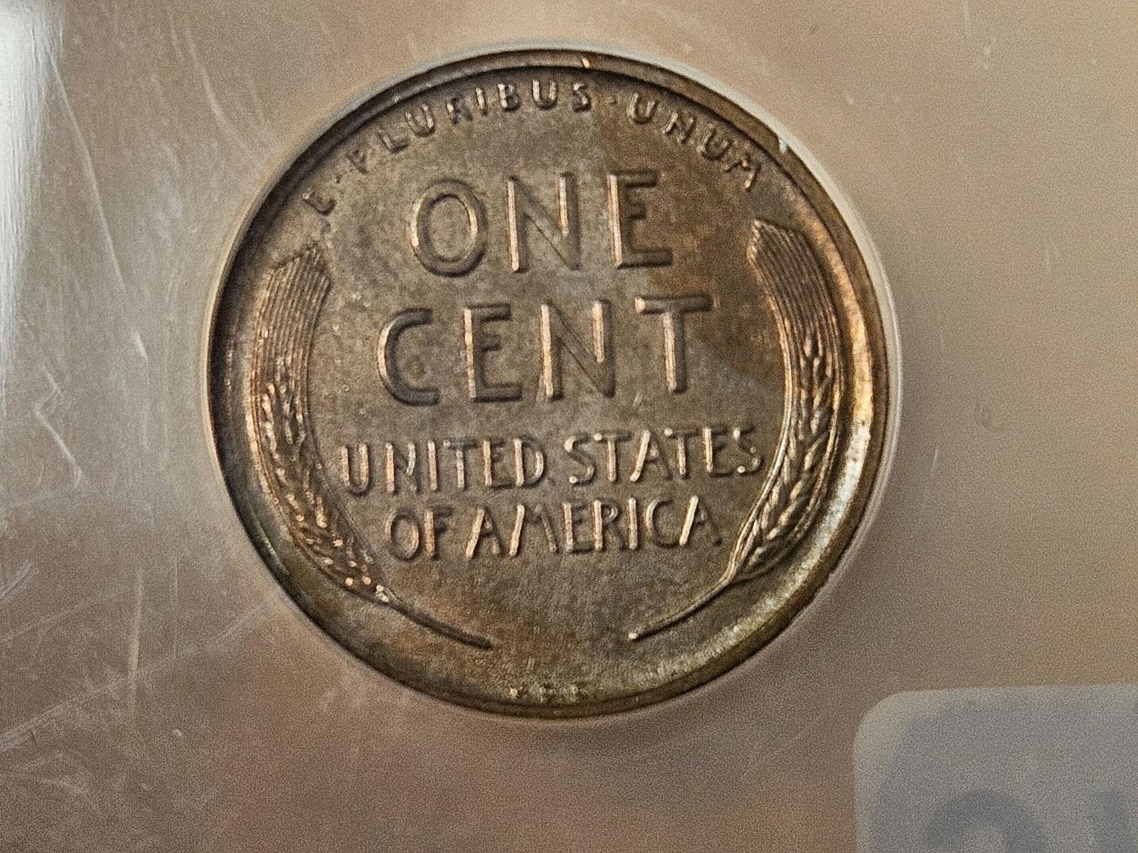 ** KEY DATE ** NGC 1909-S VDB Wheat Cent in Very Fine - details - 9