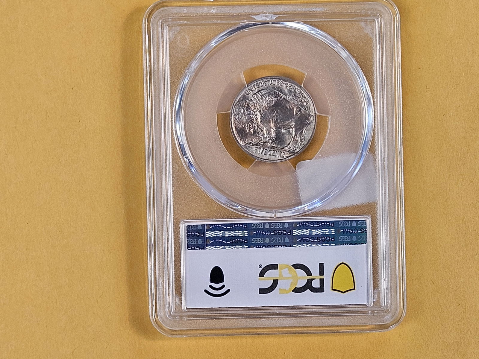 GEM! PCGS 1913 Buffalo Nickel in Mint State 65 - 5