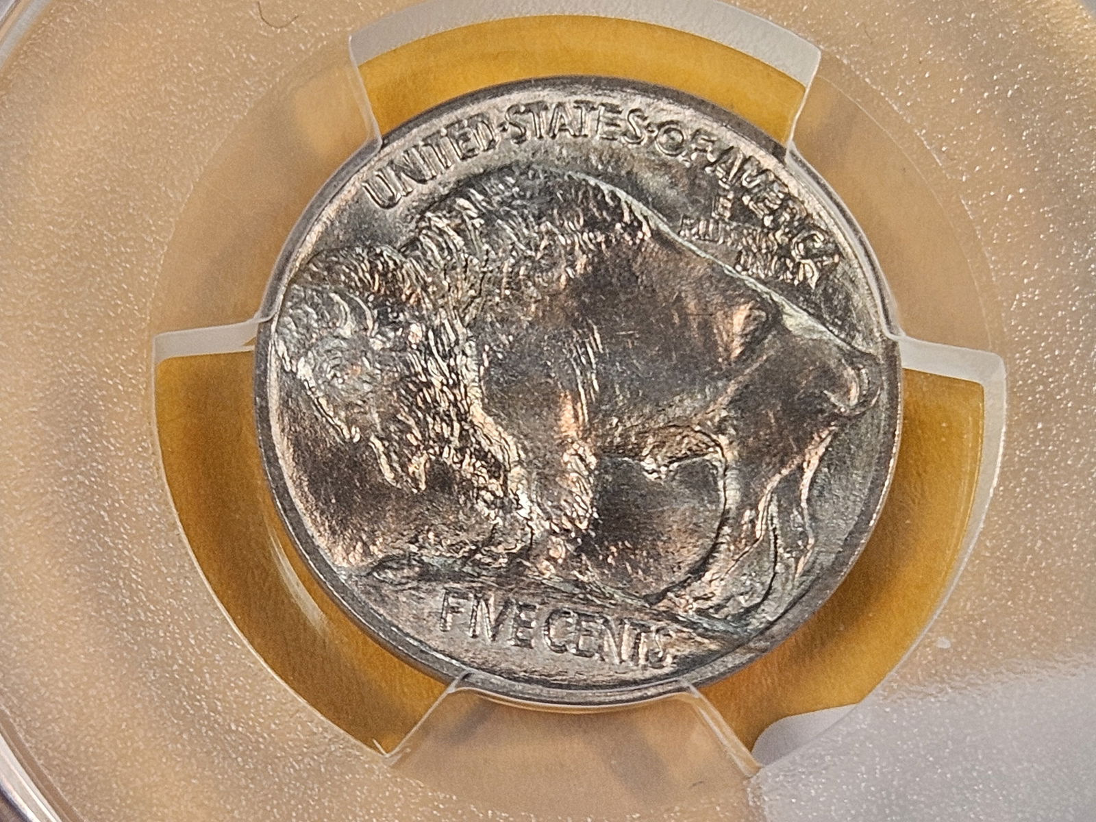 GEM! PCGS 1913 Buffalo Nickel in Mint State 65 - 6
