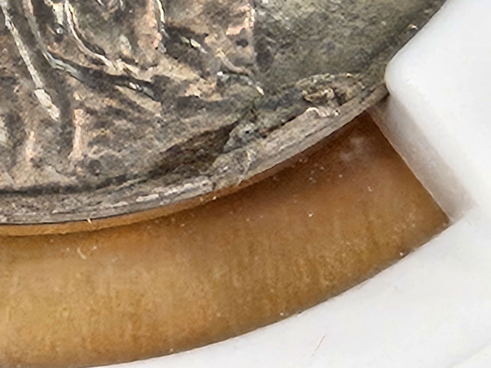 KEY DATE! GEM! NGC 1913-D Type 1 Buffalo Nickel in Mint State 65 - 4