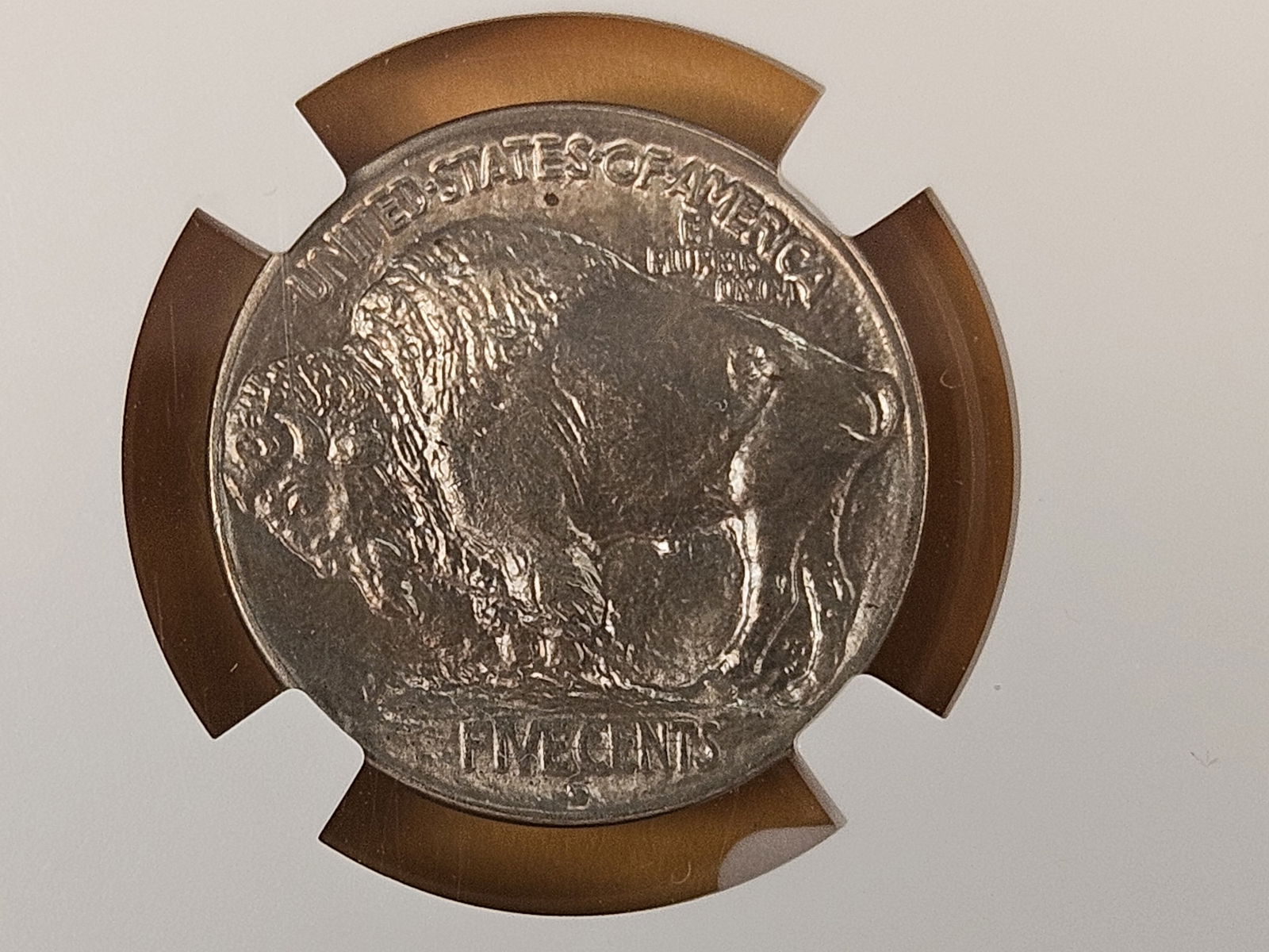 KEY DATE! GEM! NGC 1913-D Type 1 Buffalo Nickel in Mint State 65 - 8