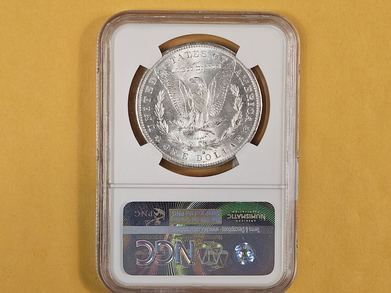 NGC 1884-O Morgan Dollar in Brilliant Uncirculated - 3