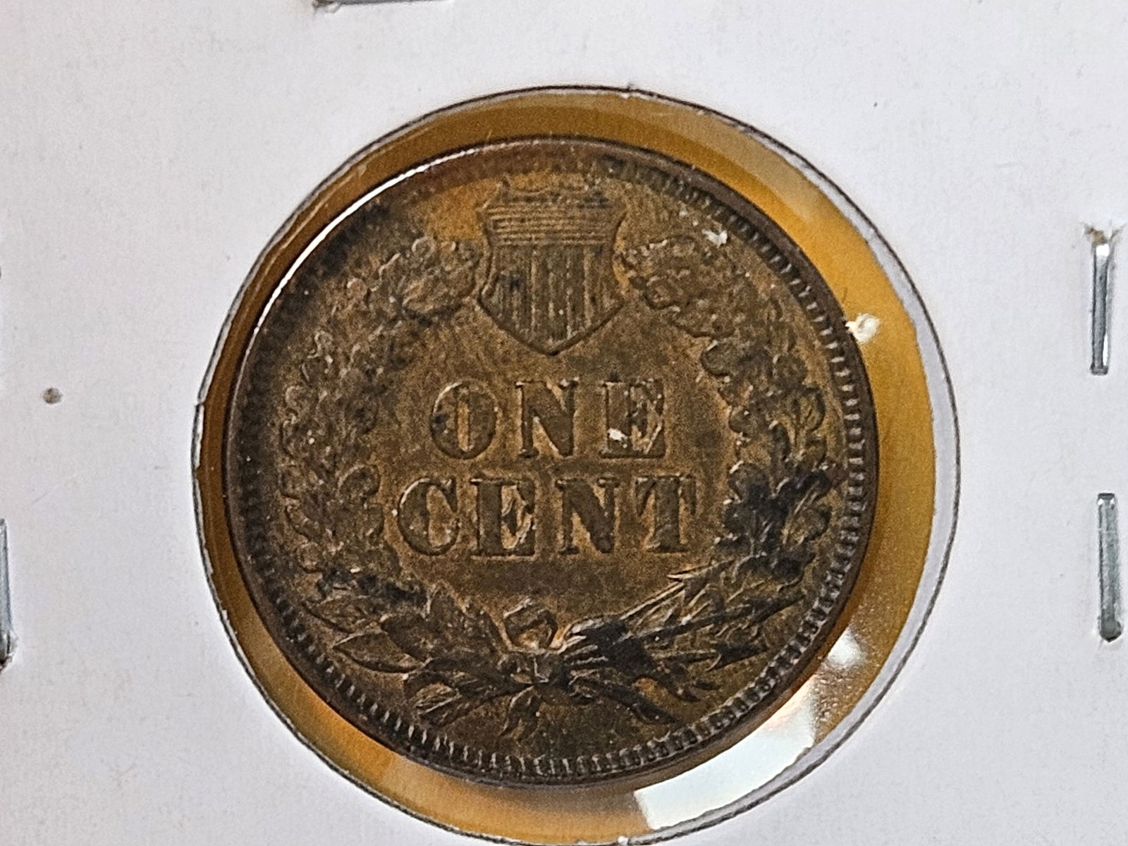 1900 Indian cent in About Uncirculated plus - 5