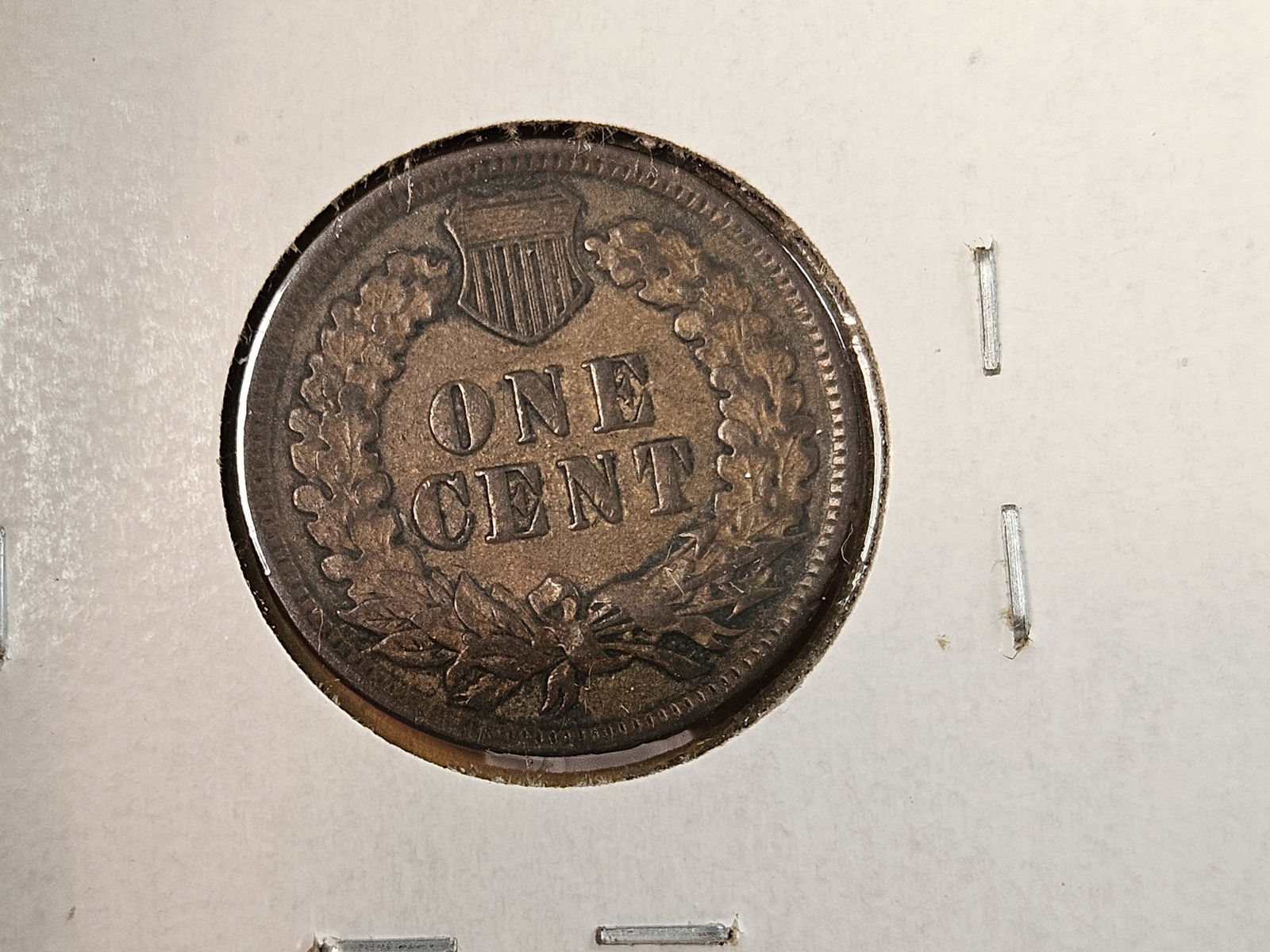 1896 and 1897 Indian Cents - 3