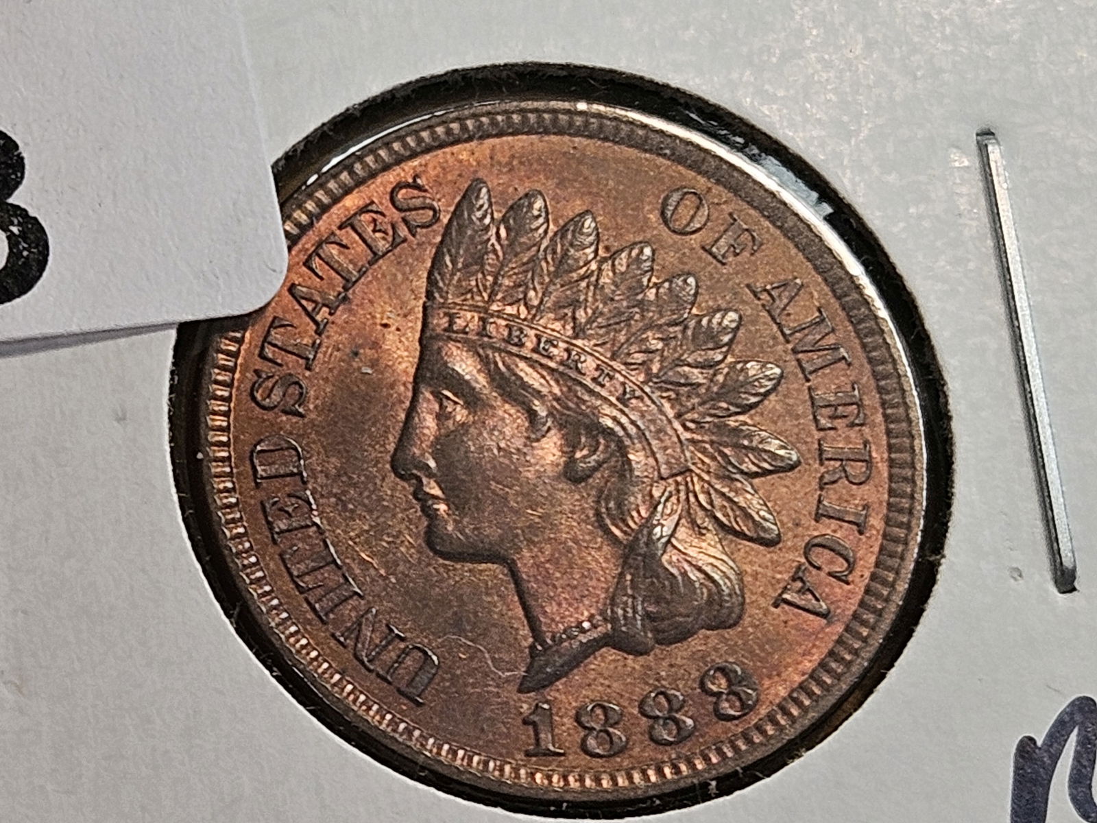 Very Choice Brilliant Uncirculated Red- Brown 1888 Indian Cent - 3