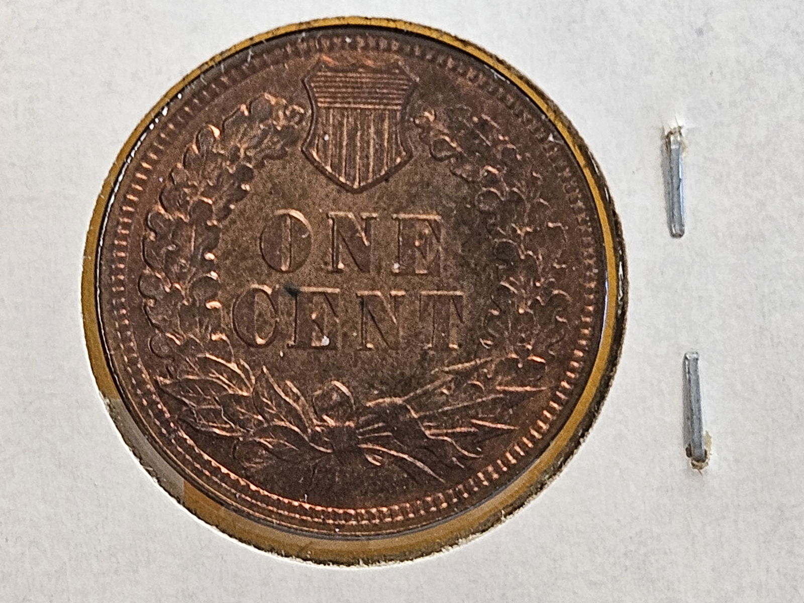 Very Choice Brilliant Uncirculated Red- Brown 1888 Indian Cent - 8