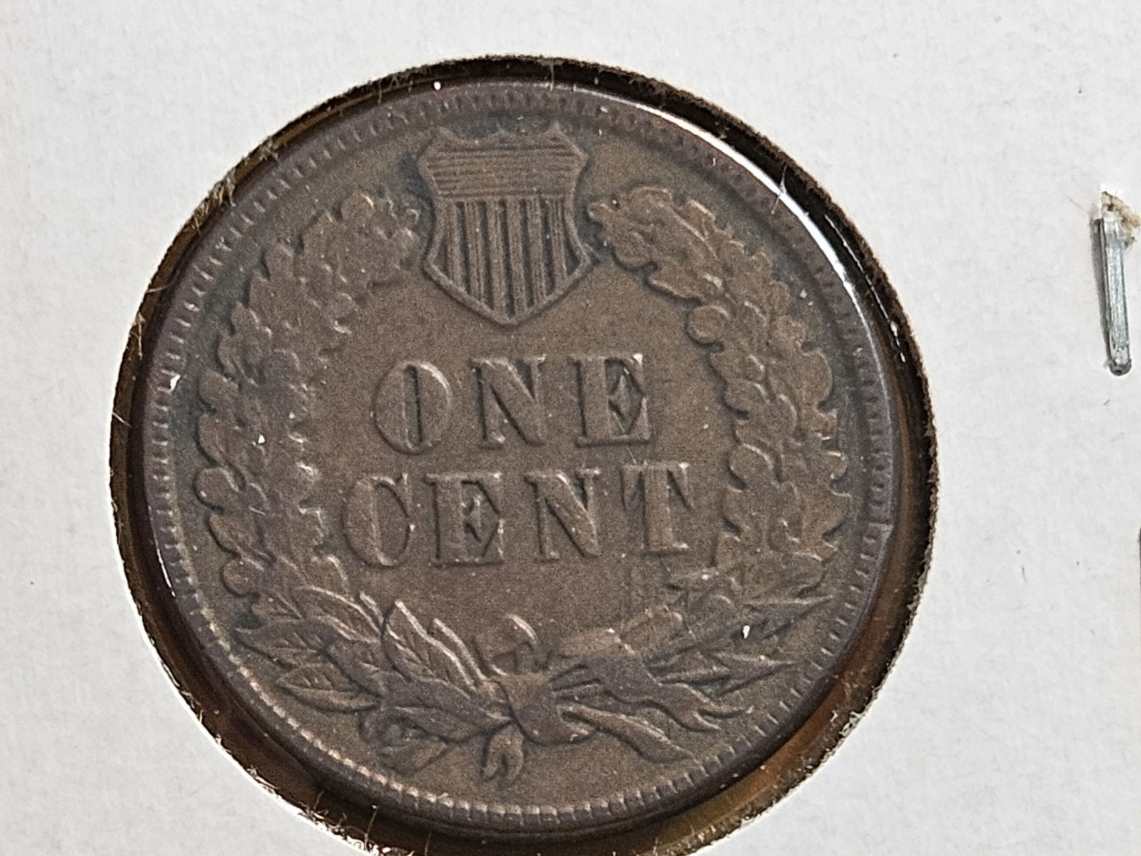 1884 and 1885 Indian Cents - 5