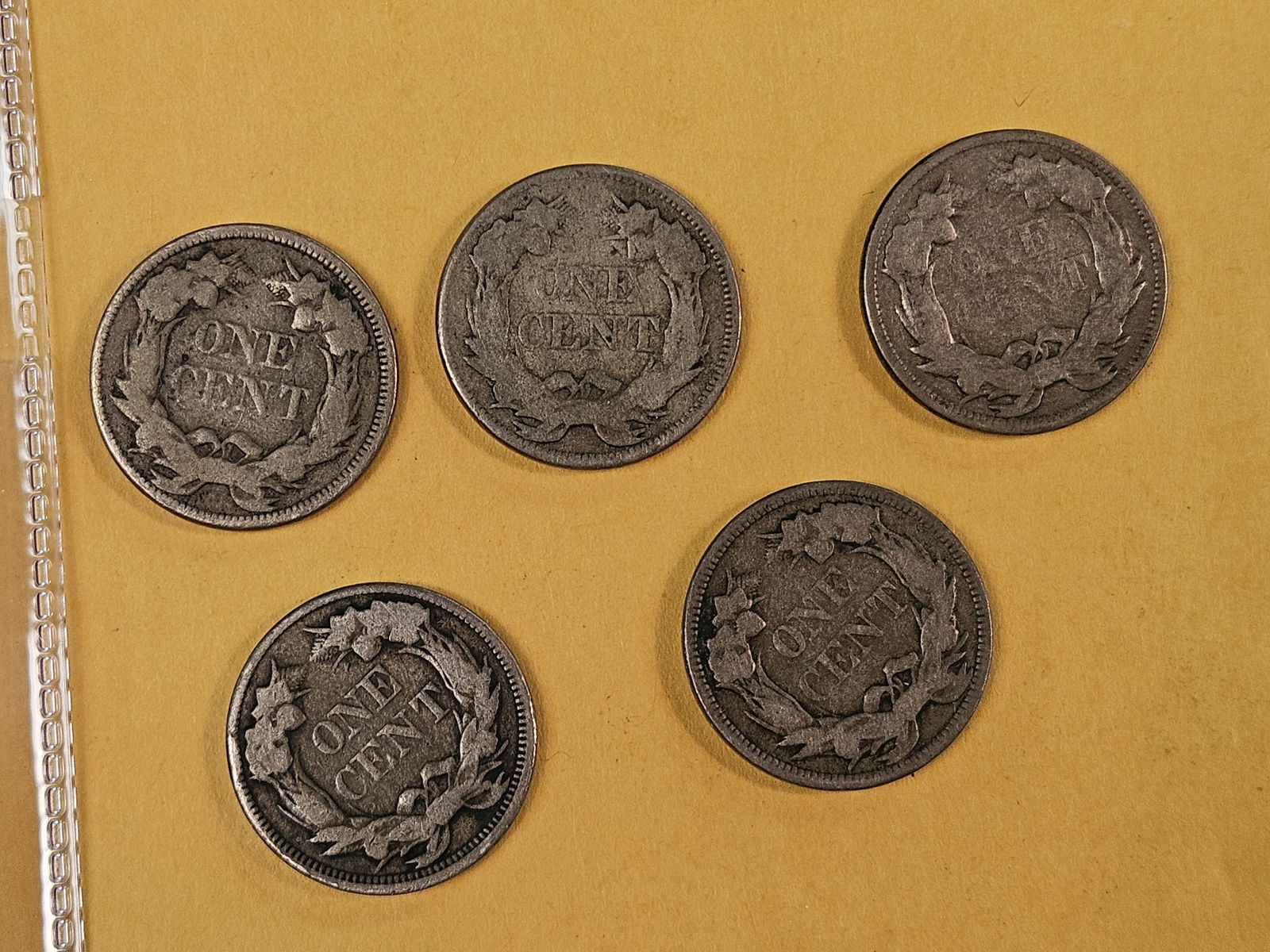 Five 1857 Flying Eagle Cents - 3