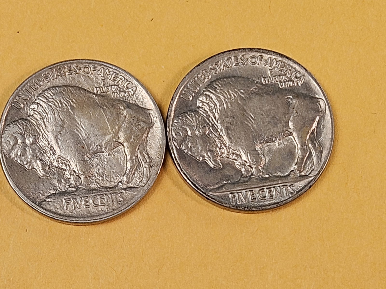 Two Choice Brilliant Uncirculated Buffalo Nickels - 4