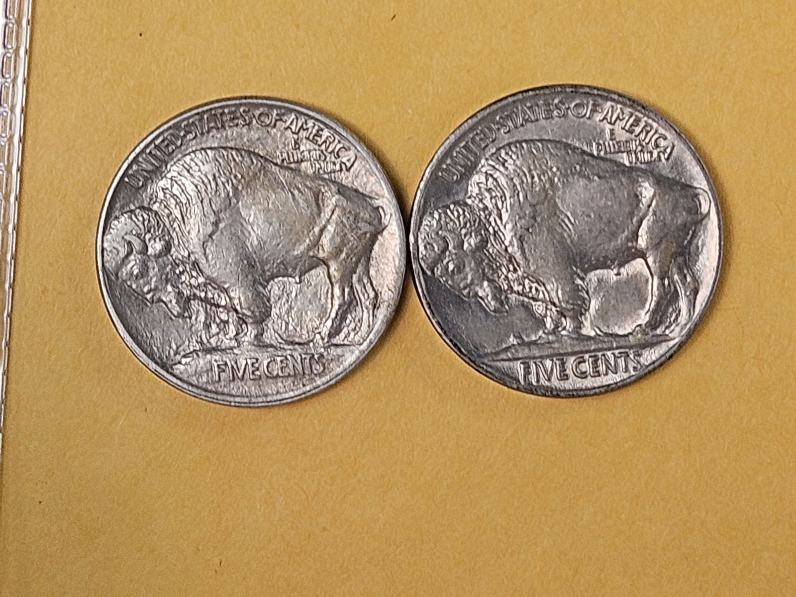 Two Choice Brilliant Uncirculated Buffalo Nickels - 5