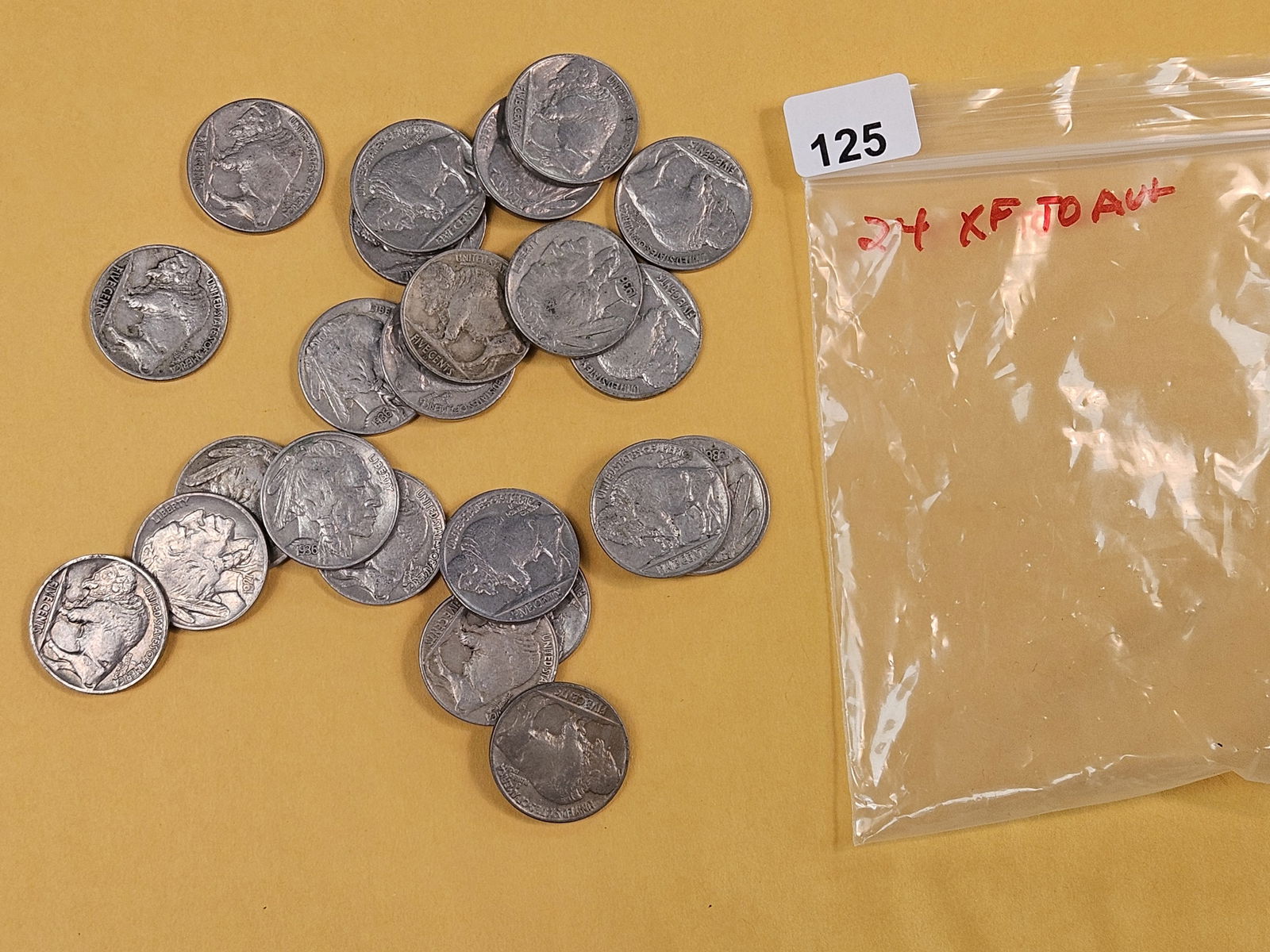 Twenty Four nicer Buffalo Nickels: Mixed. All in Extra Fine to About Uncirculated plus 