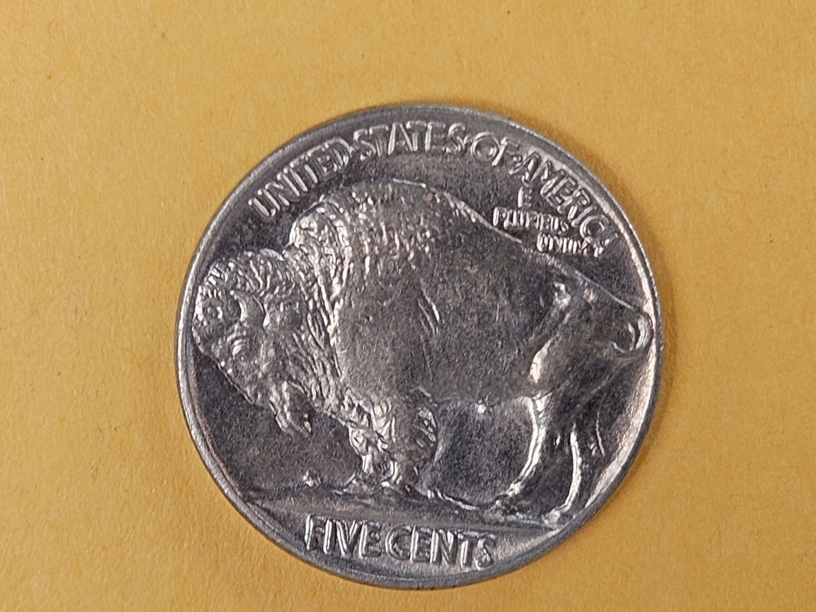 Very Choice Brilliant Uncirculated 1936 Buffalo Nickel - 8
