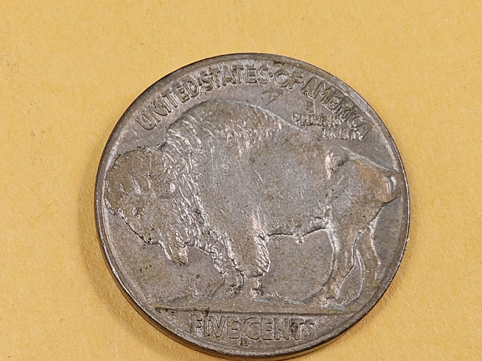 Key Date 1913-D Type 2 Buffalo Nickel - 5