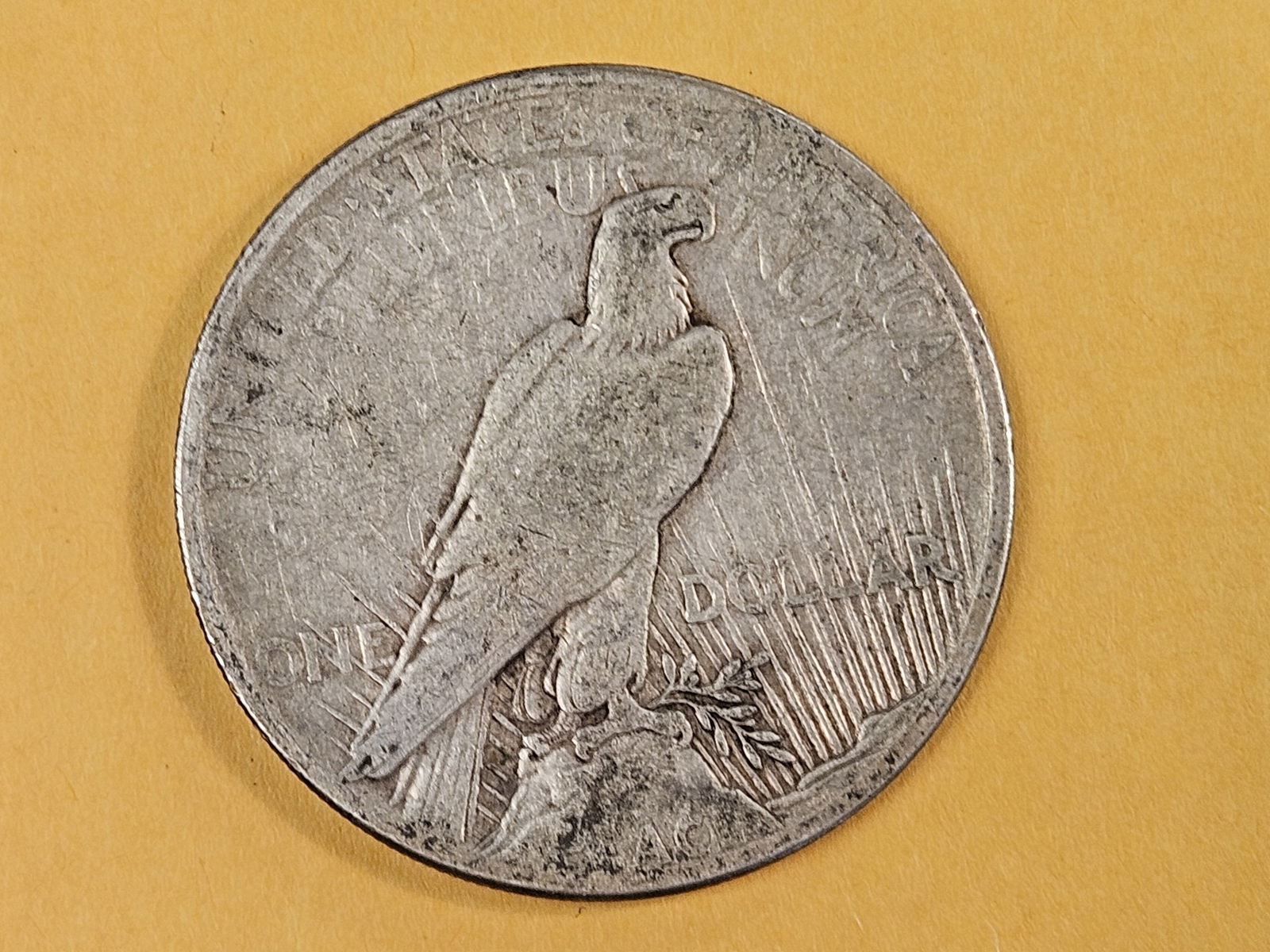 ** KEY DATE ** 1921 Peace Silver Dollar in Very Fine plus - 3