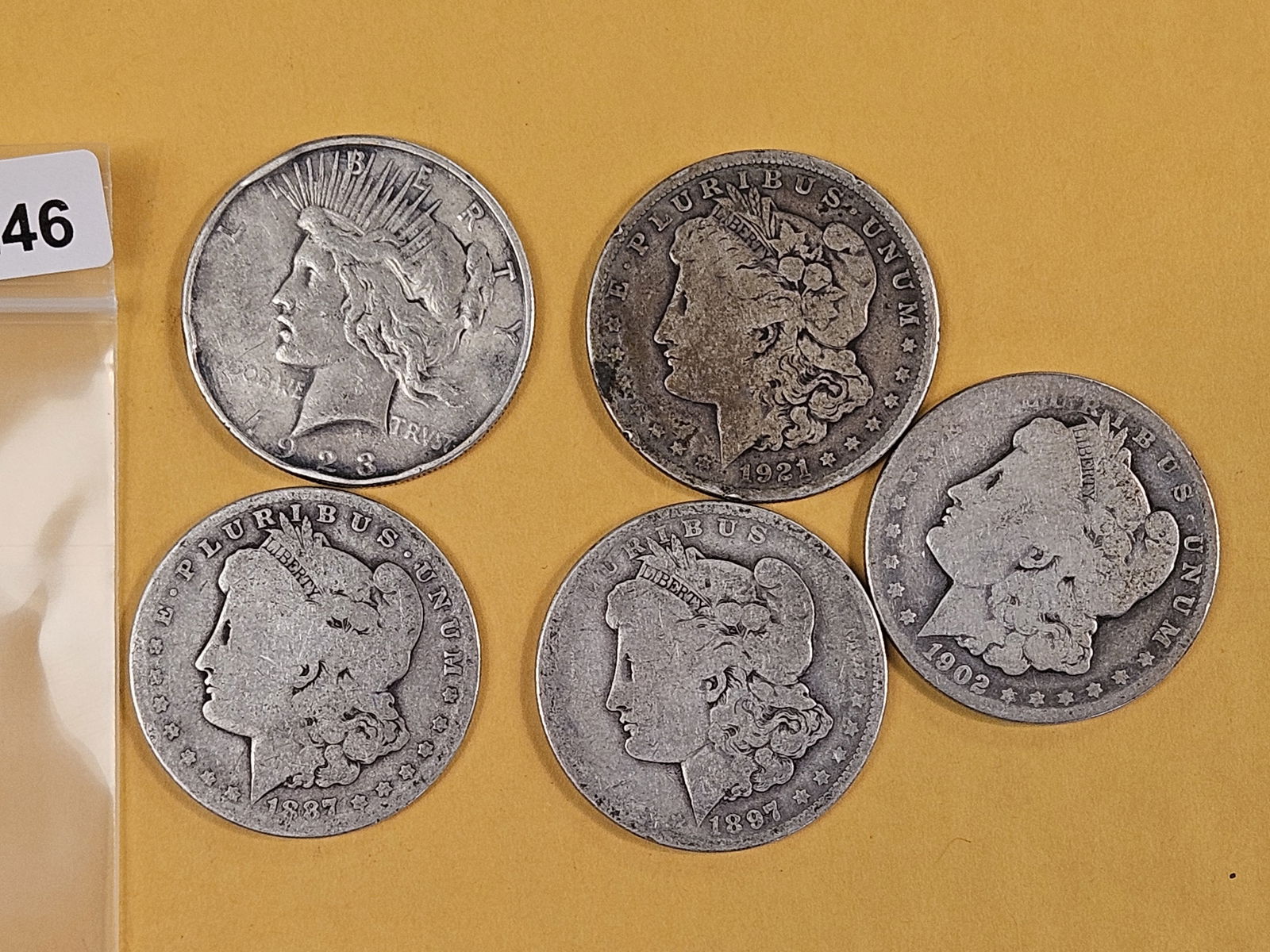 Five mixed Morgan and Peace Silver Dollars: Circulated 