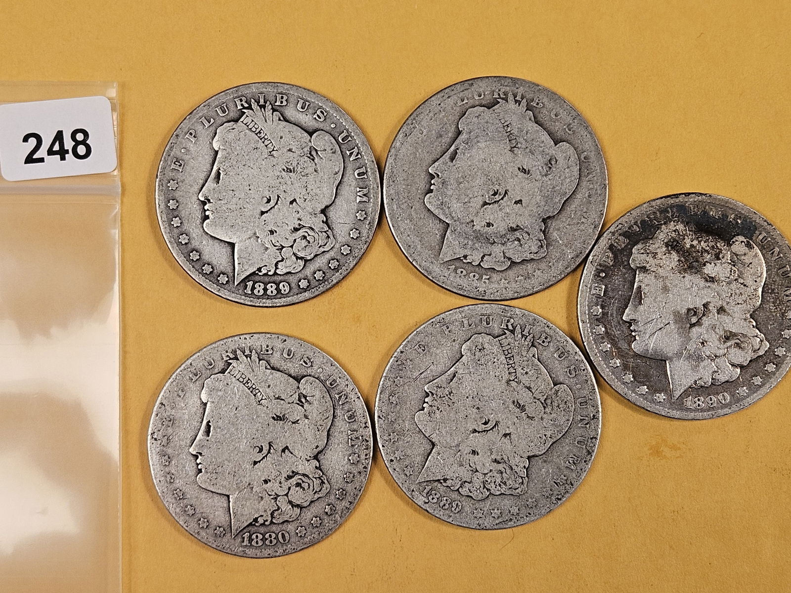 Five mixed Morgan Silver Dollars: Circulated 