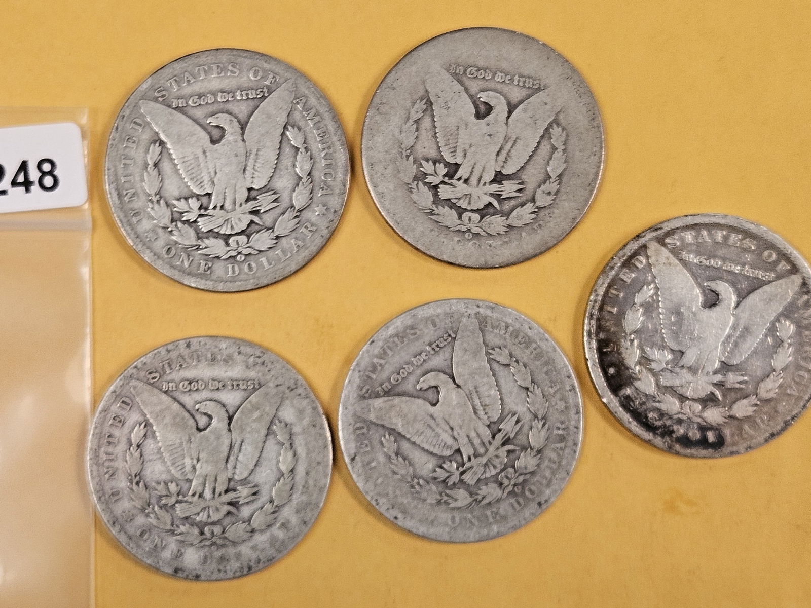 Five mixed Morgan Silver Dollars - 2